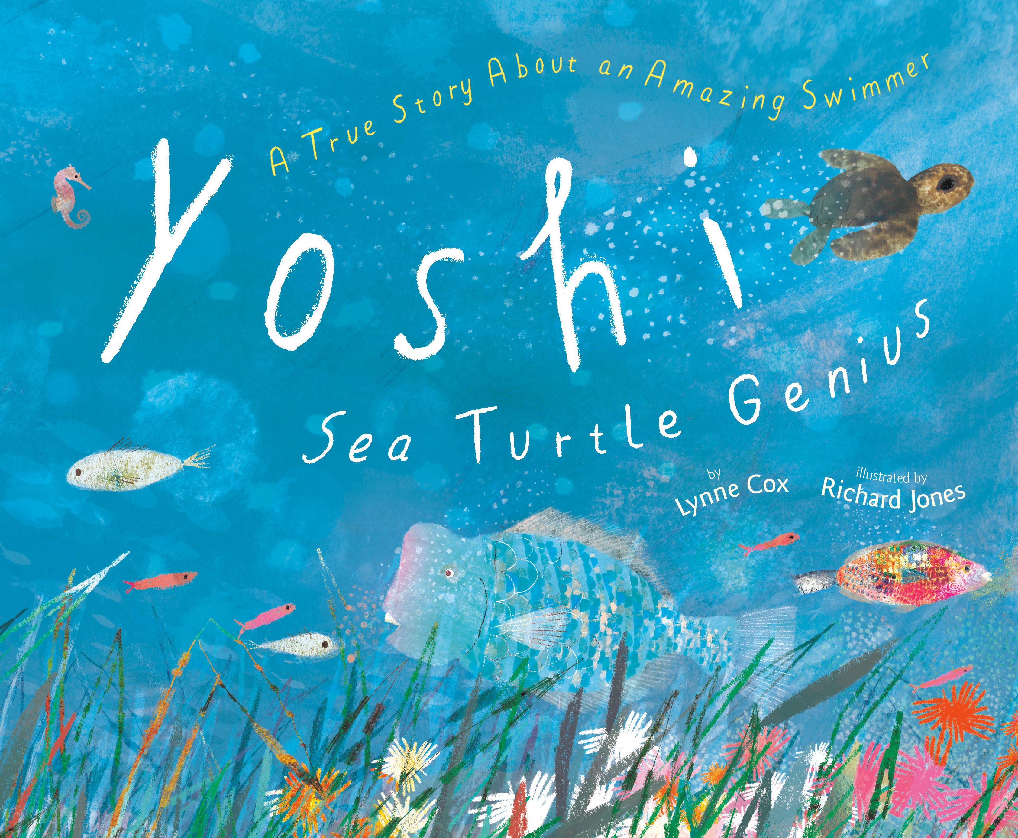 Yoshi, Sea Turtle Genius : A True Story about an Amazing Swimmer | Cox, Lynne (Auteur) | Jones, Richard (Illustrateur)