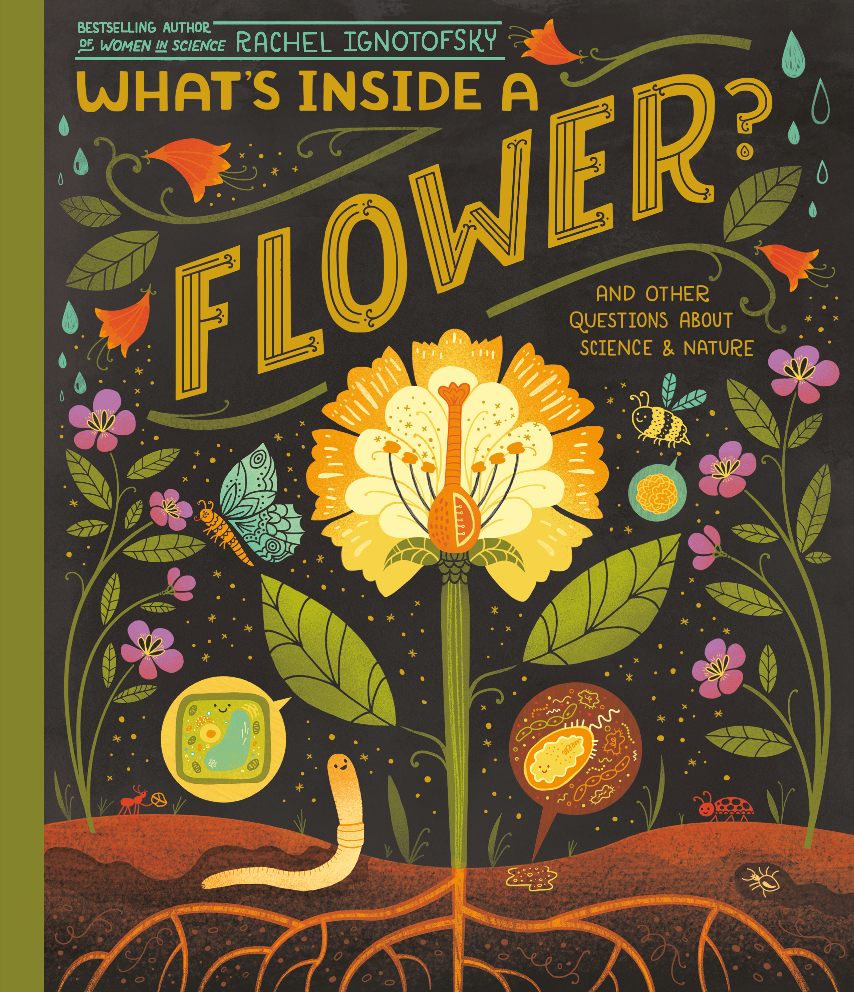What's Inside A Flower? : And Other Questions About Science &amp; Nature | Ignotofsky, Rachel (Auteur)