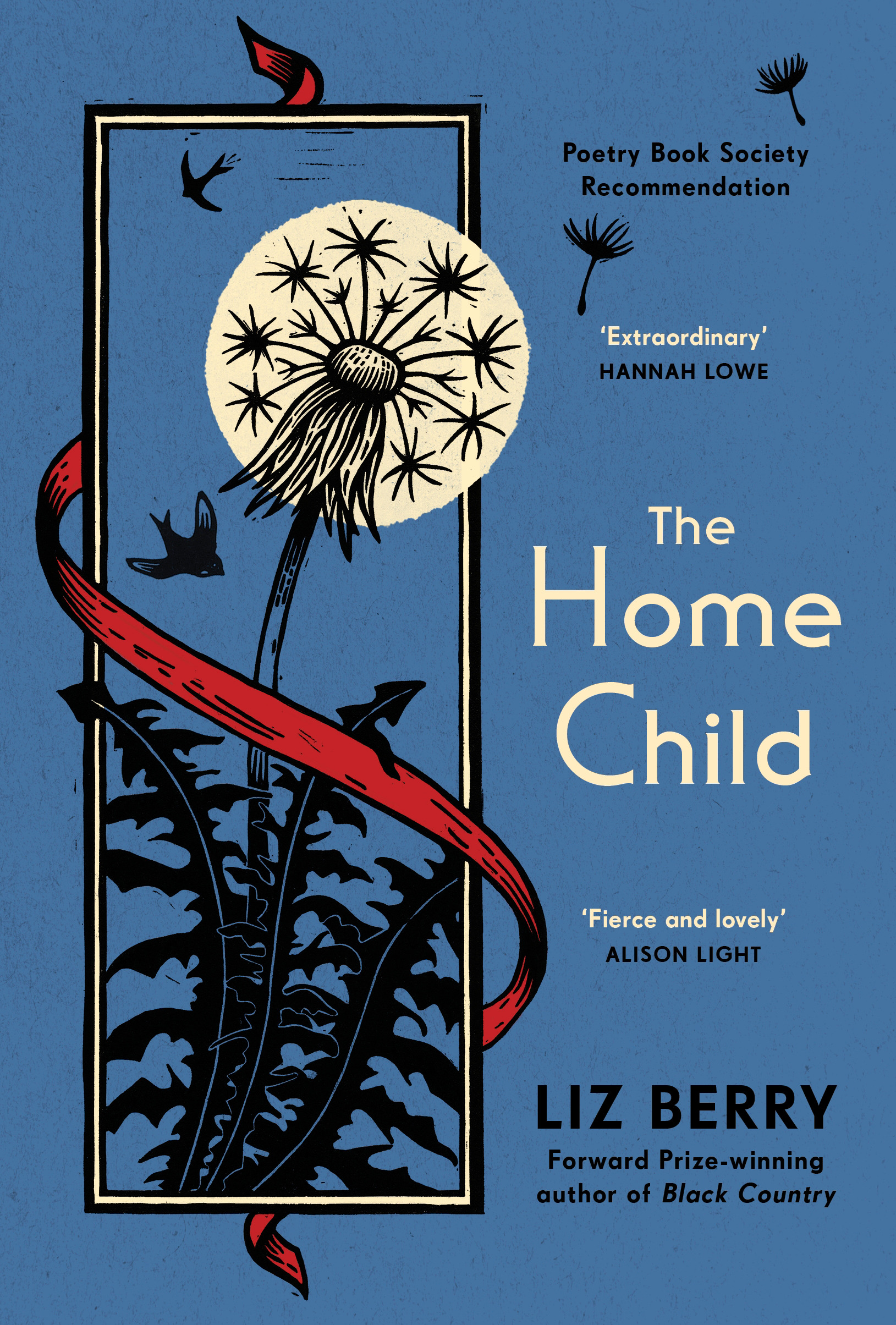 The Home Child | Berry, Liz (Auteur)