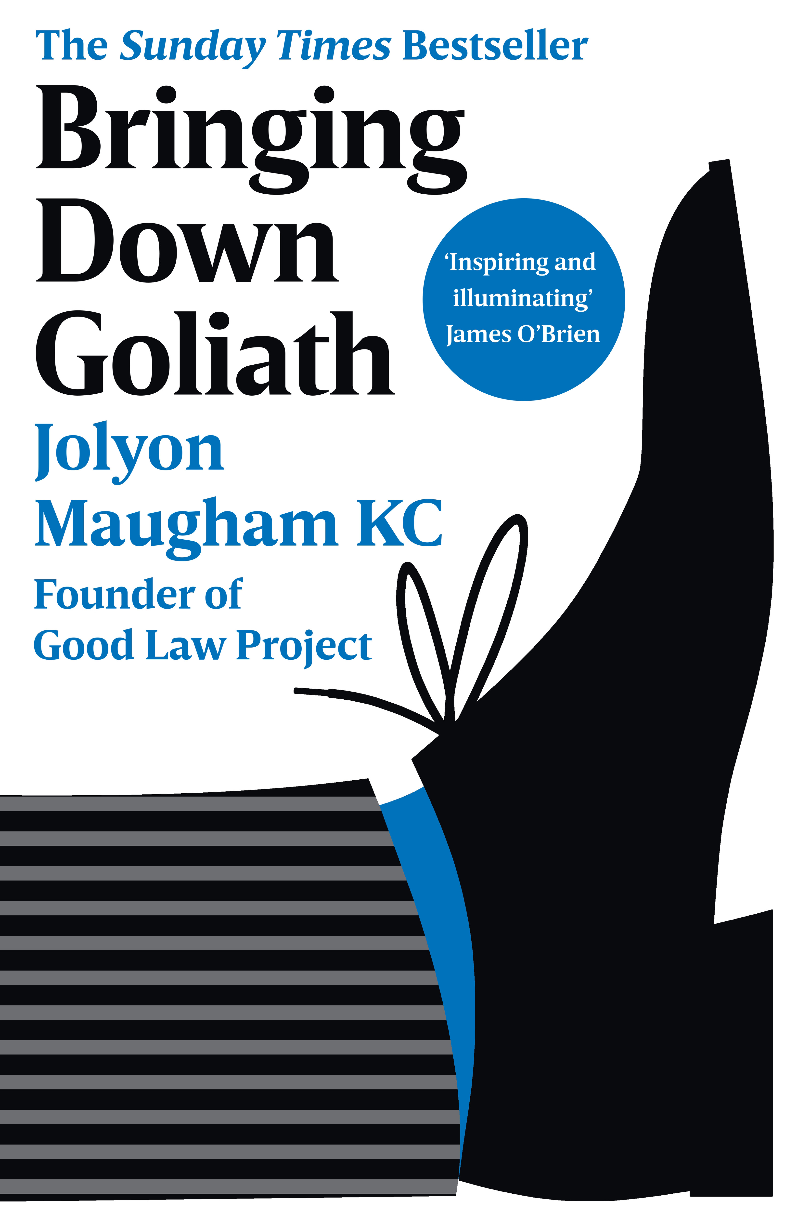 Bringing Down Goliath : Me, You and the Law | Maugham, Jolyon (Auteur)
