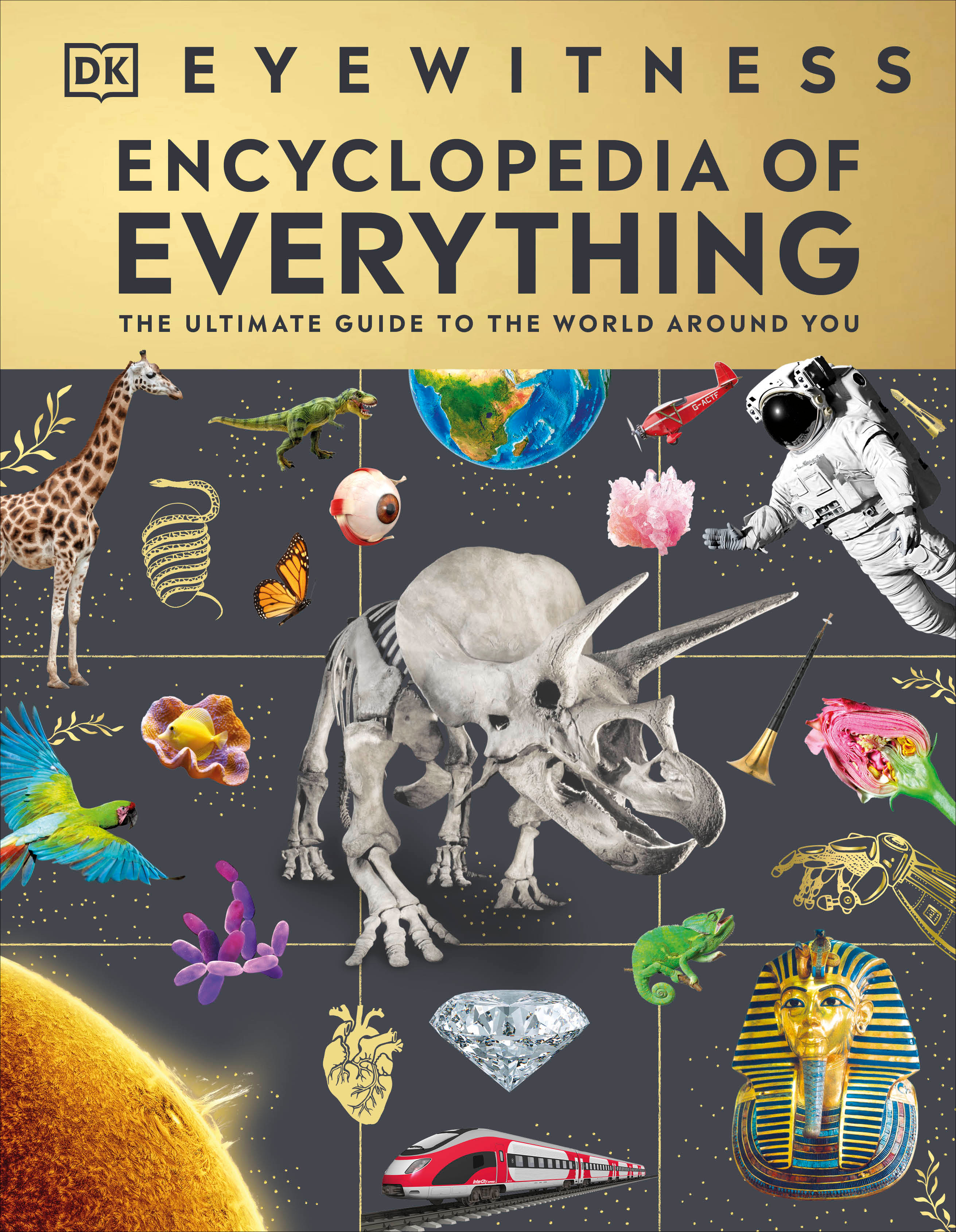 Eyewitness Encyclopedia of Everything : The Ultimate Guide to the World Around You | 
