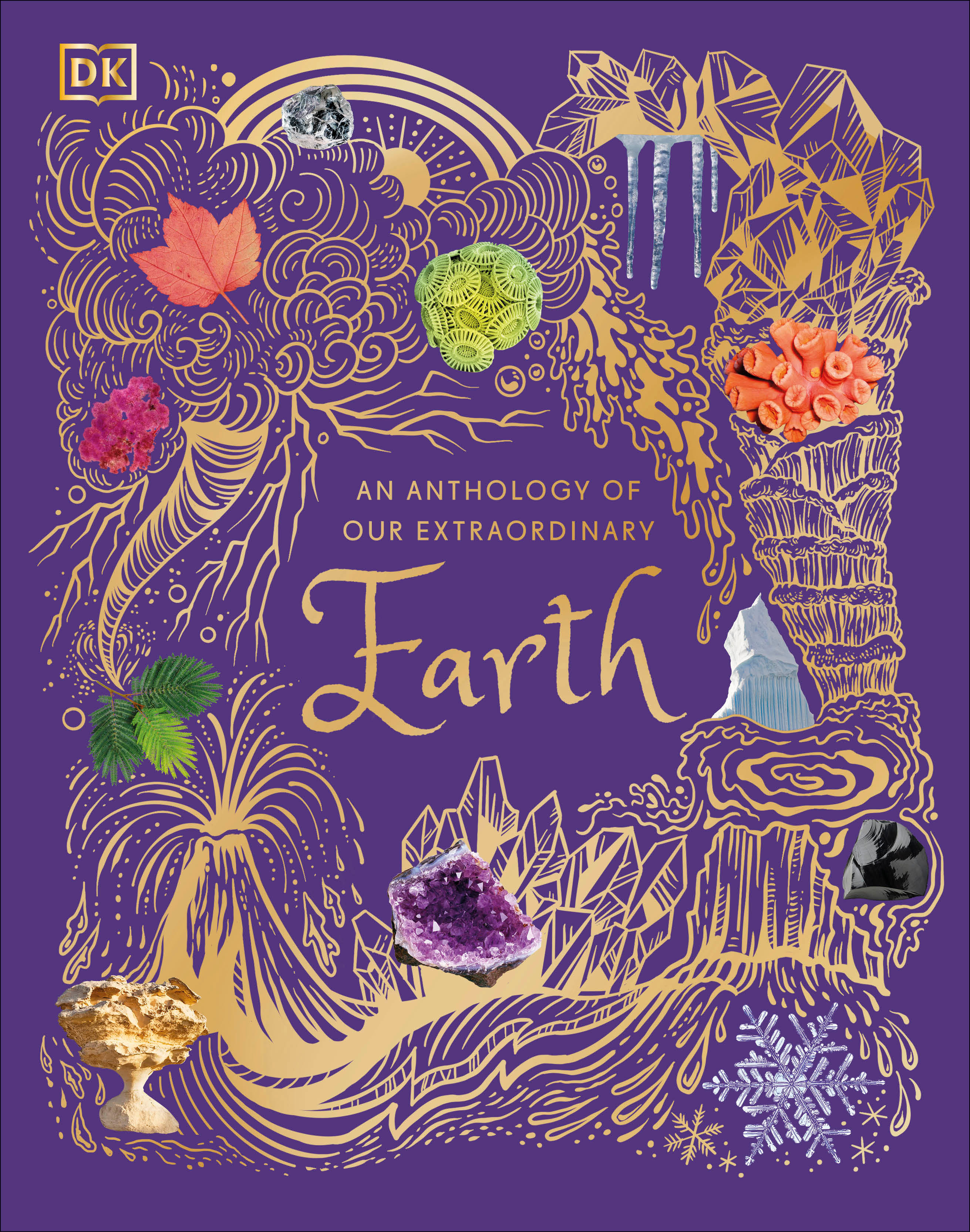 An Anthology of Our Extraordinary Earth | Oldershaw, Cally (Auteur)
