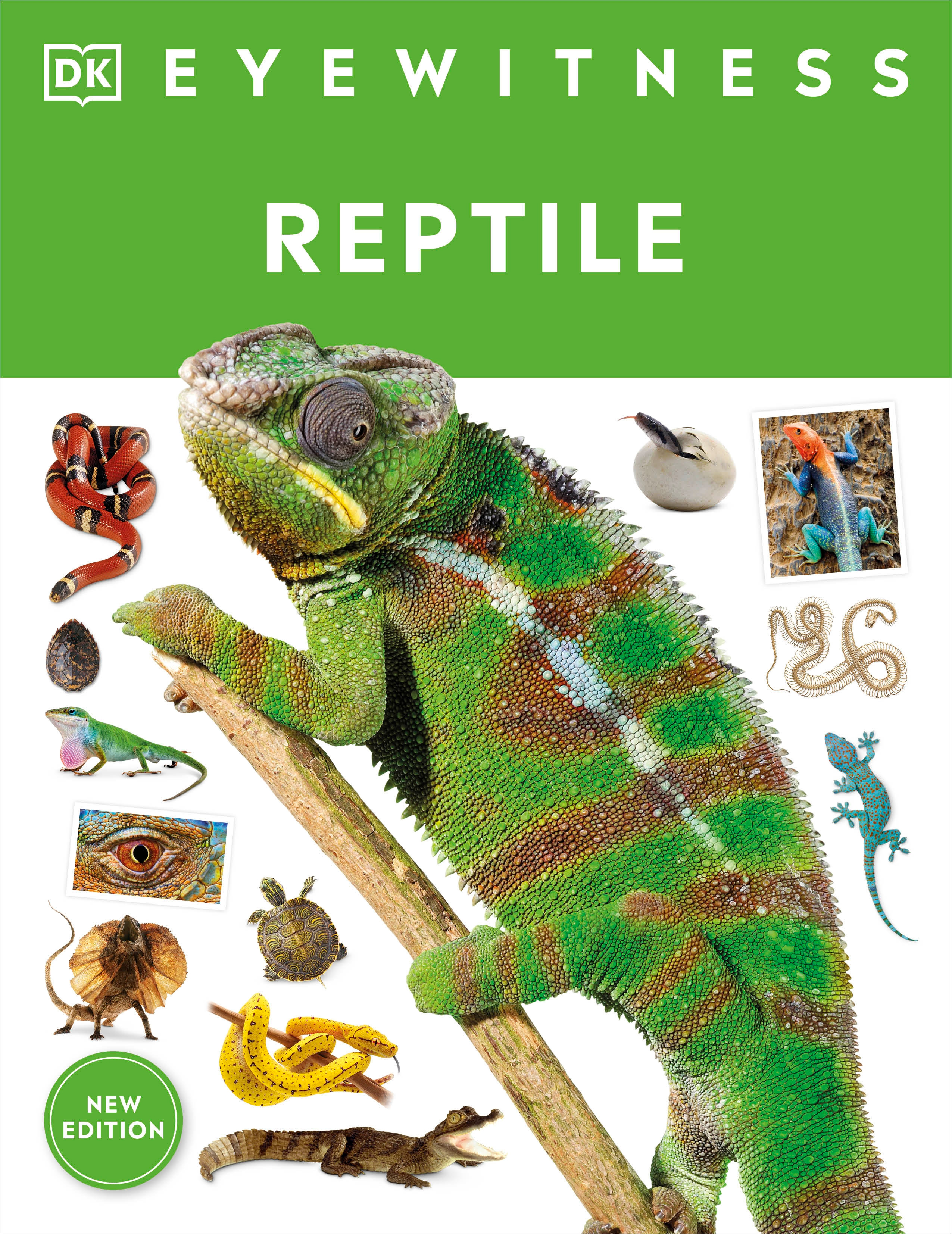 Eyewitness Reptile | 