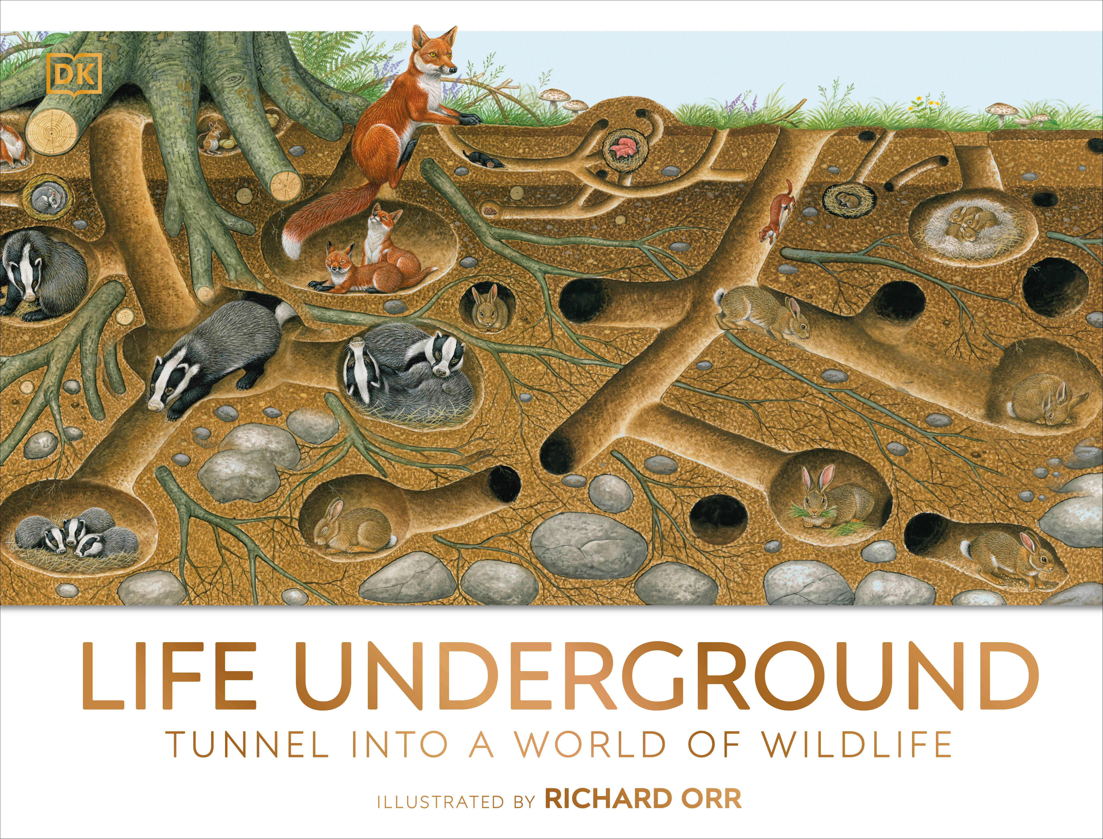 Life Underground : Tunnel into a World of Wildlife | Orr, Richard (Illustrateur)