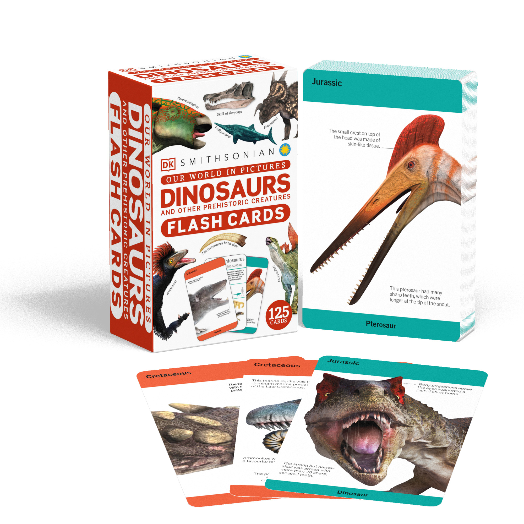 Our World in Pictures Dinosaurs and Other Prehistoric Creatures Flash Cards | 