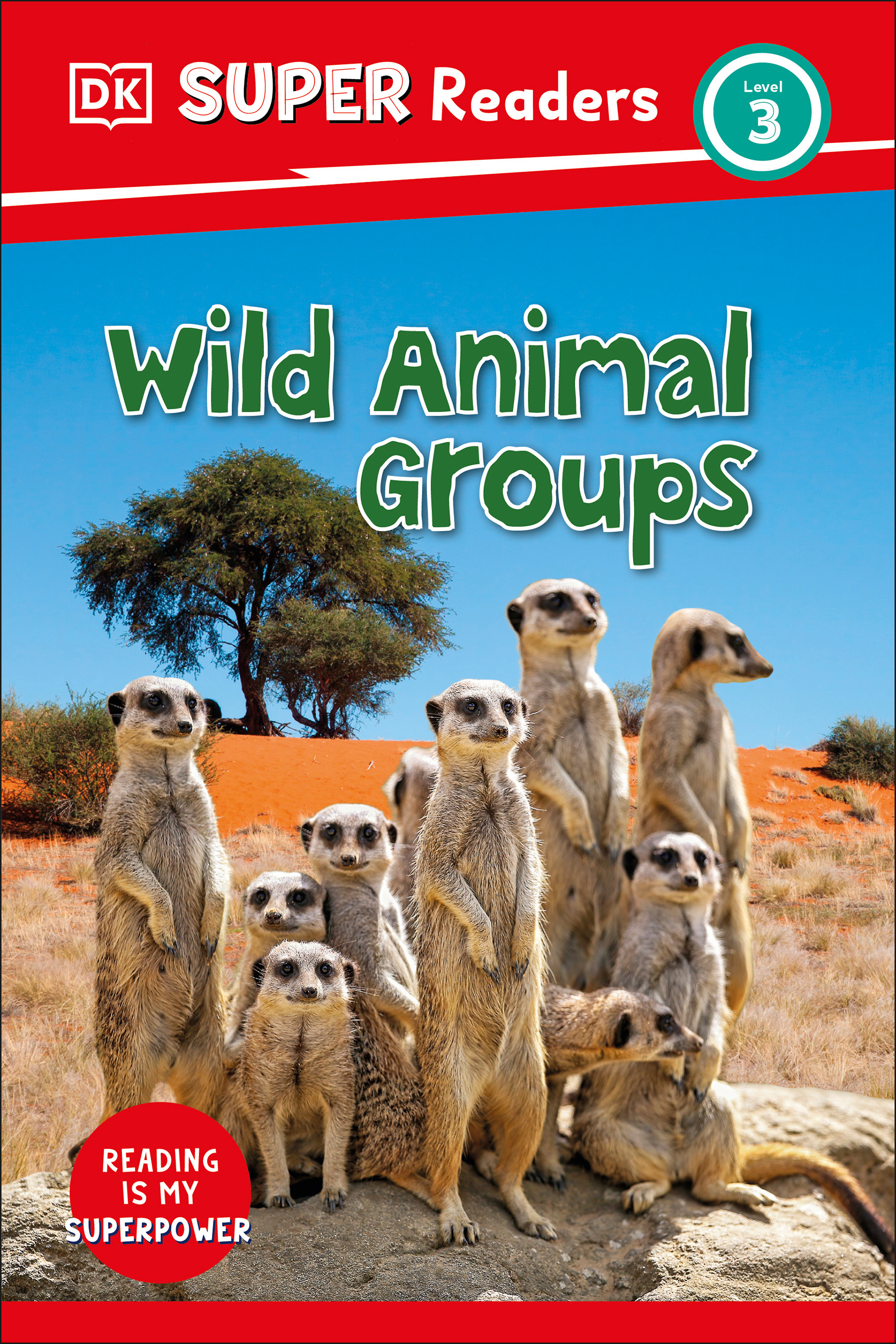 DK Super Readers Level 3 Wild Animal Groups | 