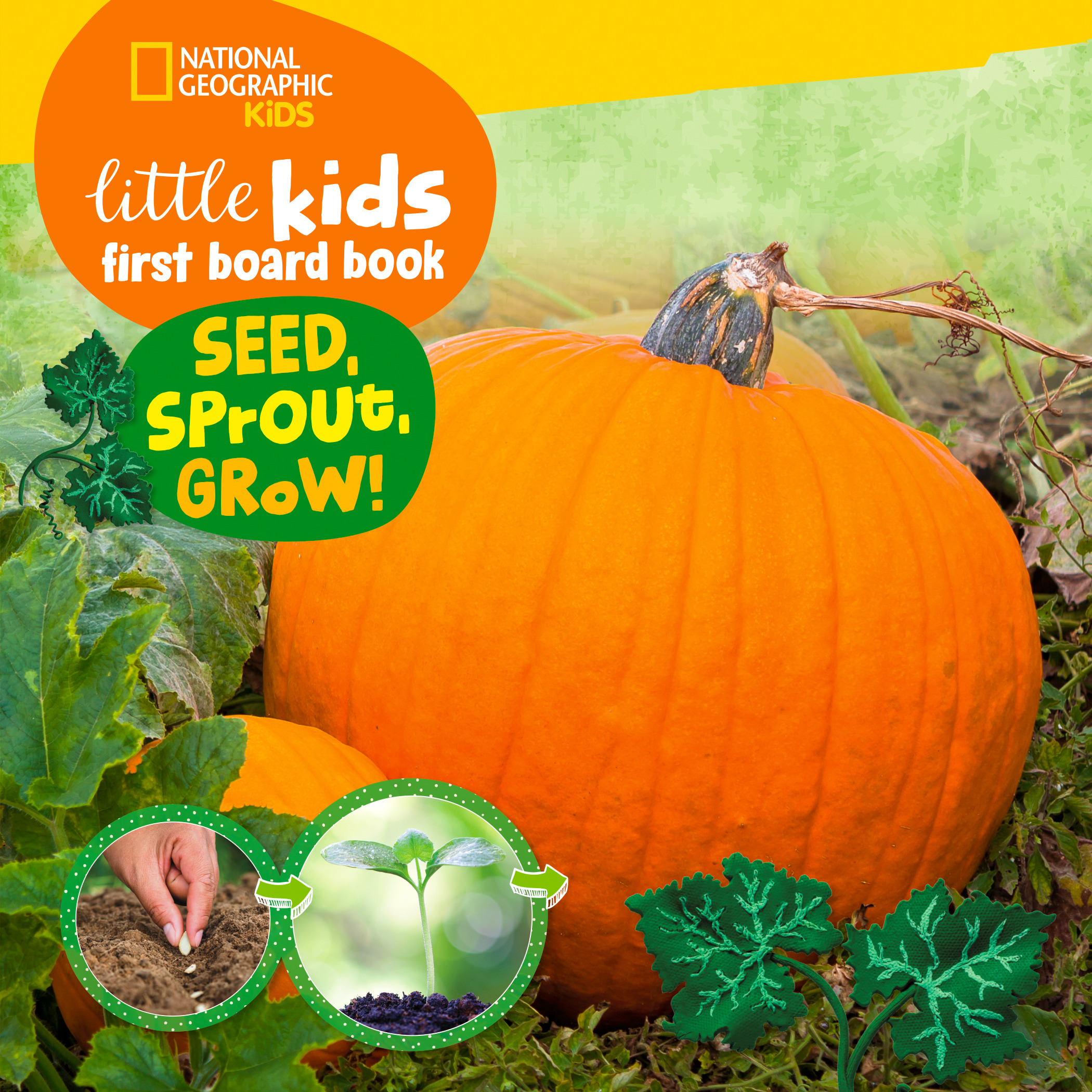 Little Kids First Board Book Seed, Sprout, Grow! | Musgrave, Ruth A. (Auteur)