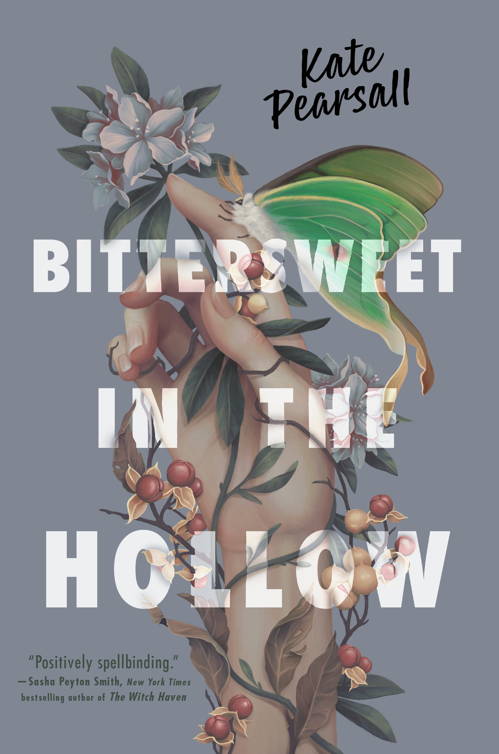 Bittersweet in the Hollow | Pearsall, Kate (Auteur)