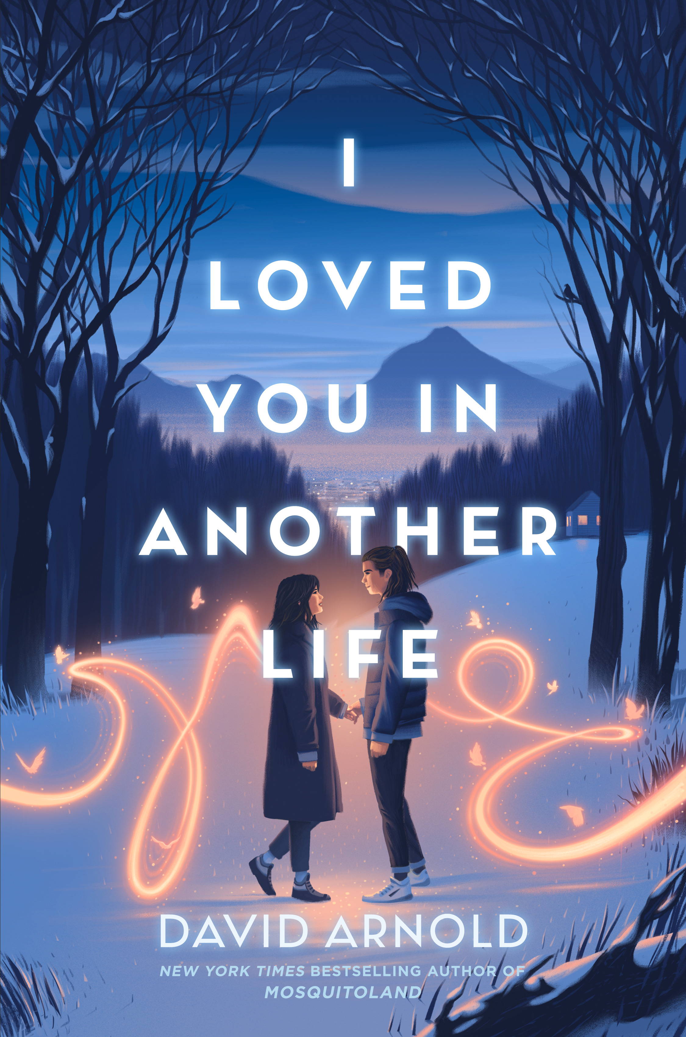 I Loved You in Another Life | Arnold, David (Auteur)