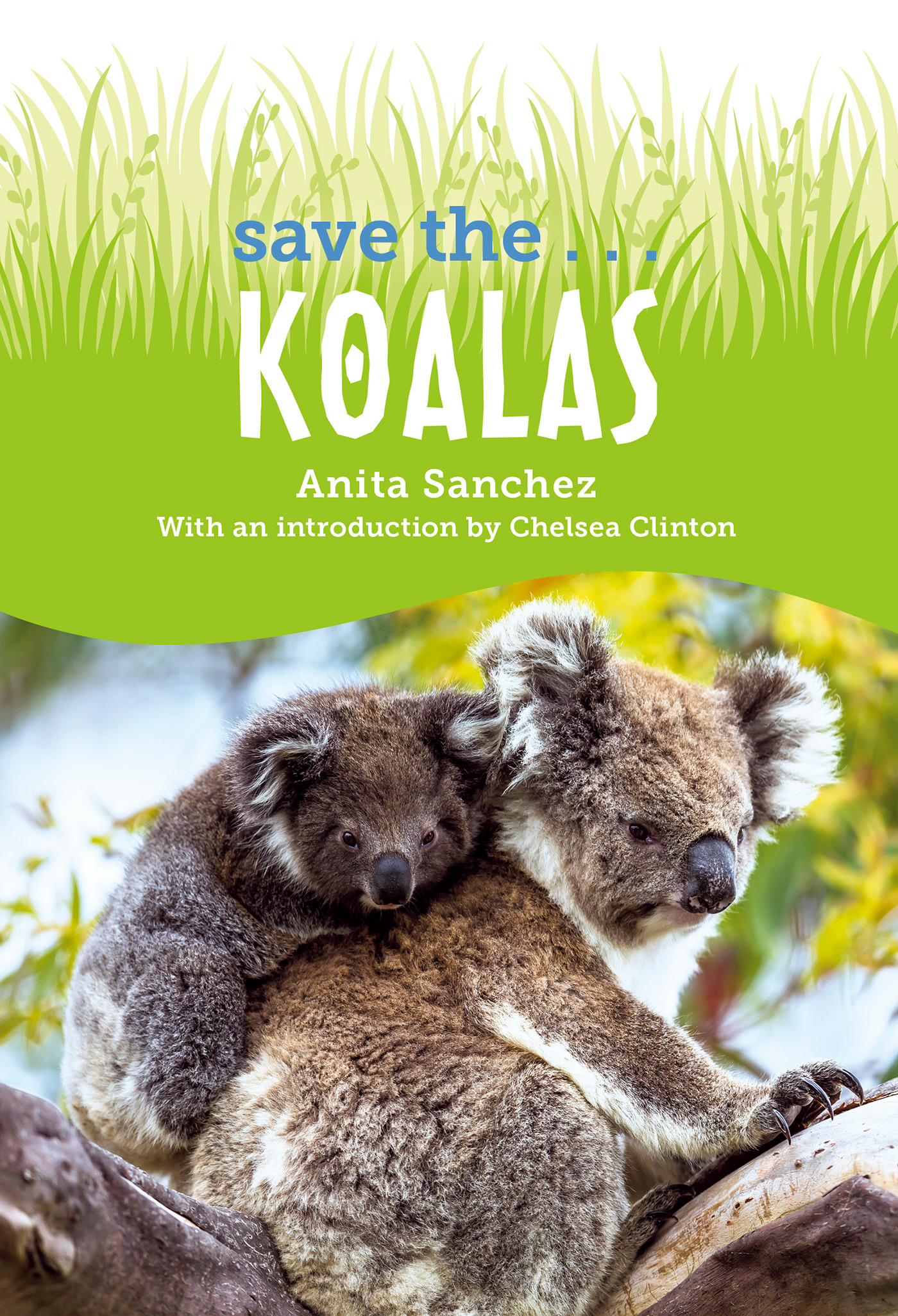 Save the... Koalas | Sanchez, Anita (Auteur) | Clinton, Chelsea (Auteur)