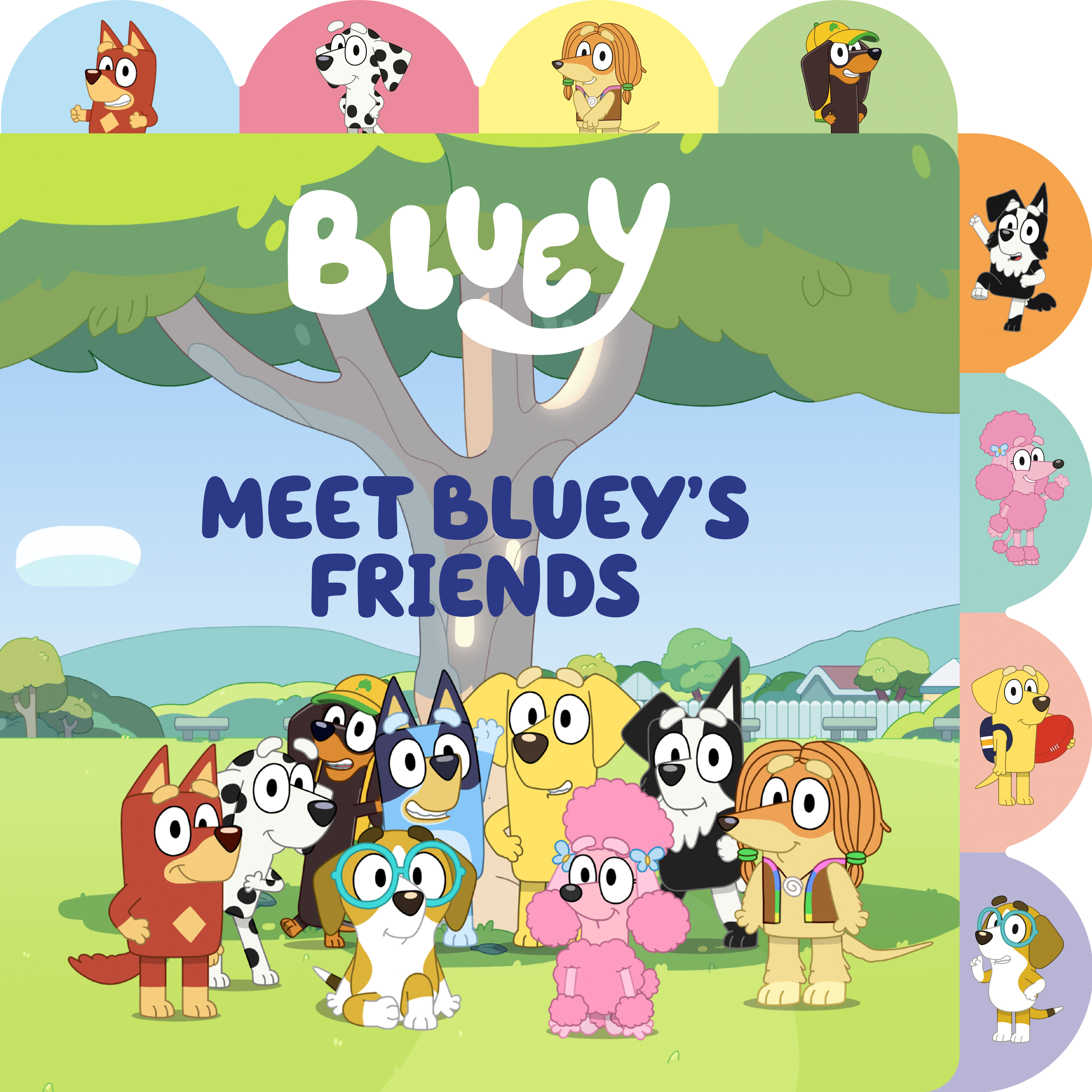 Meet Bluey's Friends  | Rusu, Meredith (Auteur)