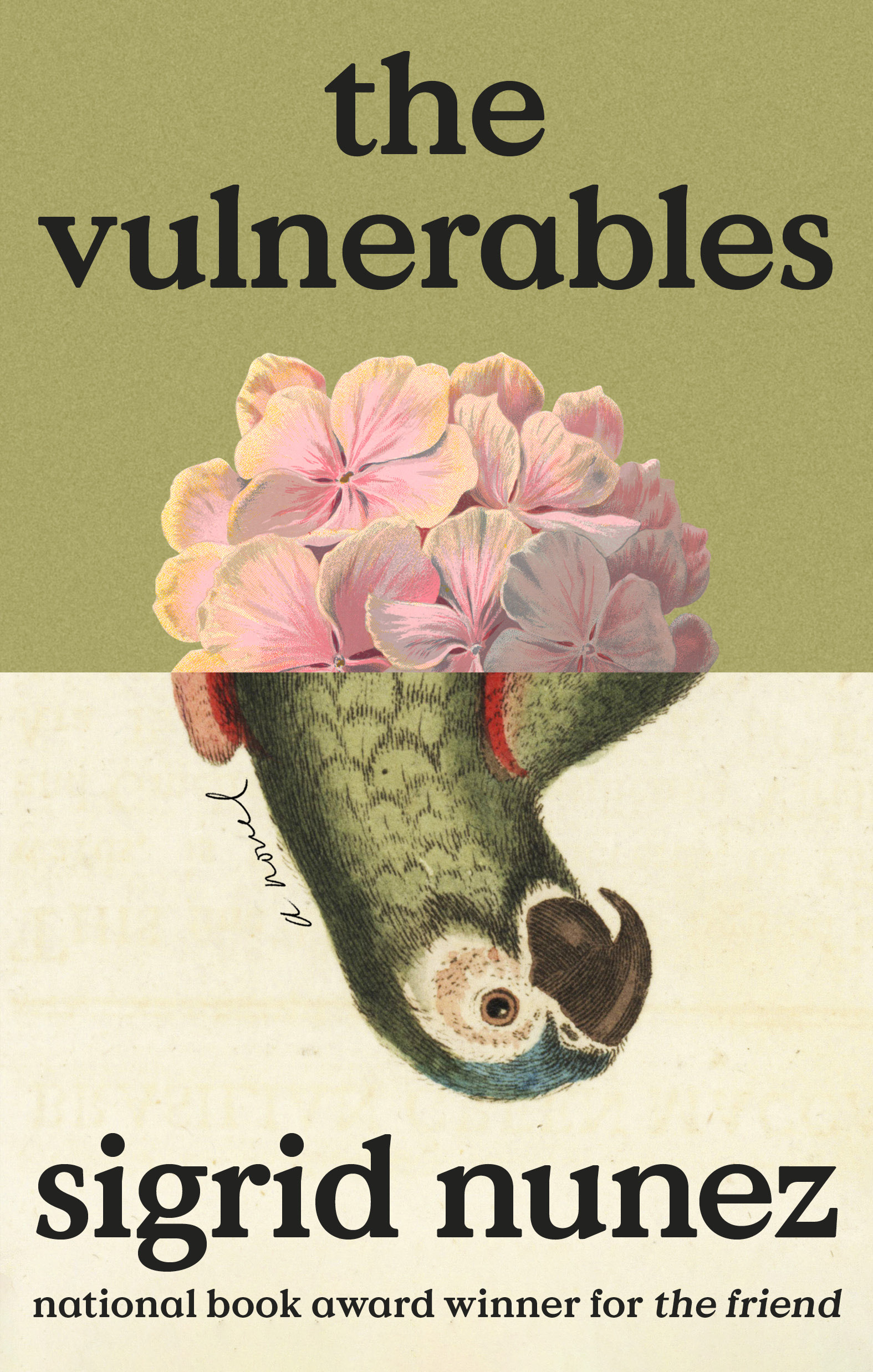 The Vulnerables : A Novel | Nunez, Sigrid (Auteur)