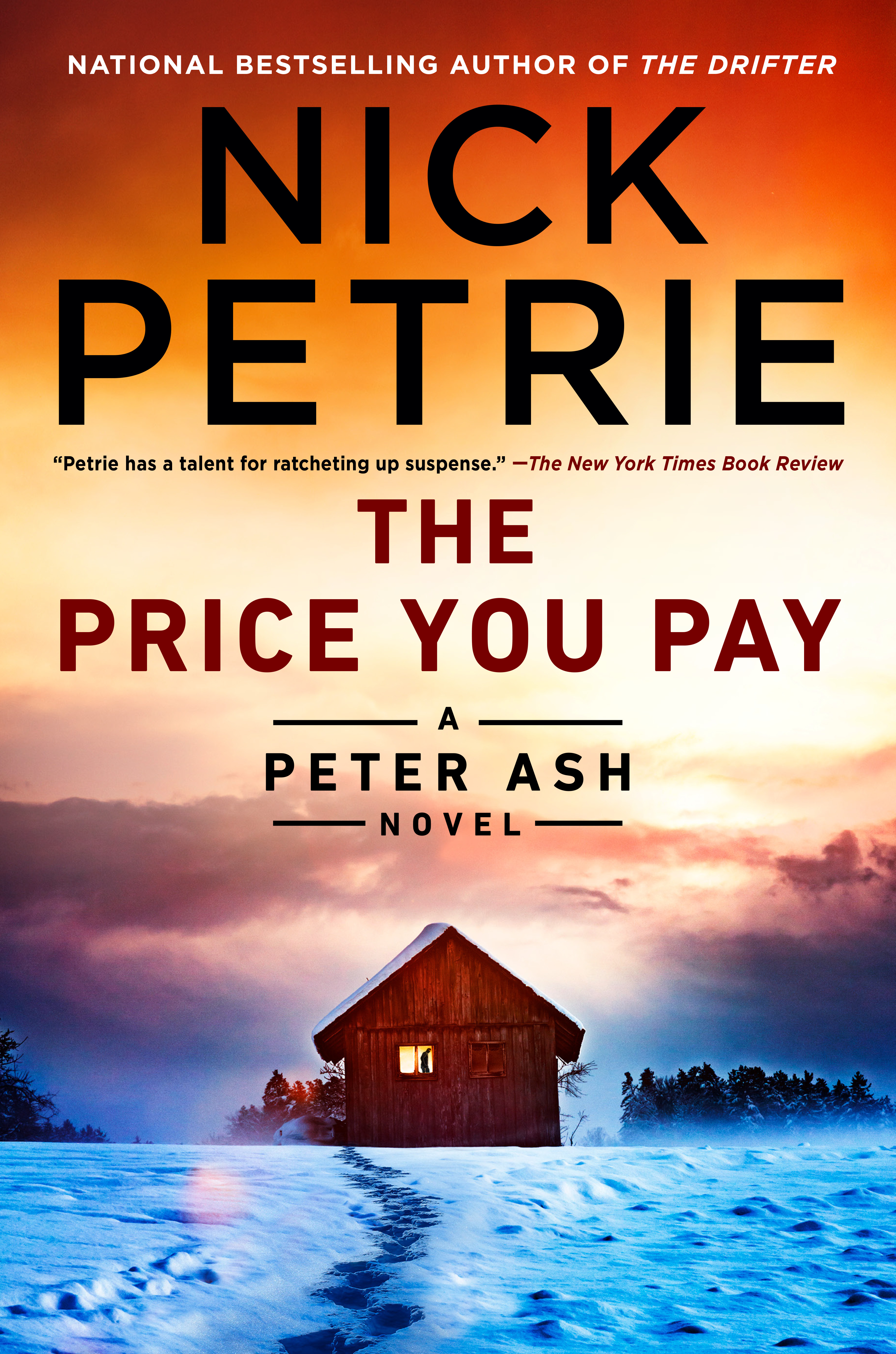 The Price You Pay | Petrie, Nick (Auteur)