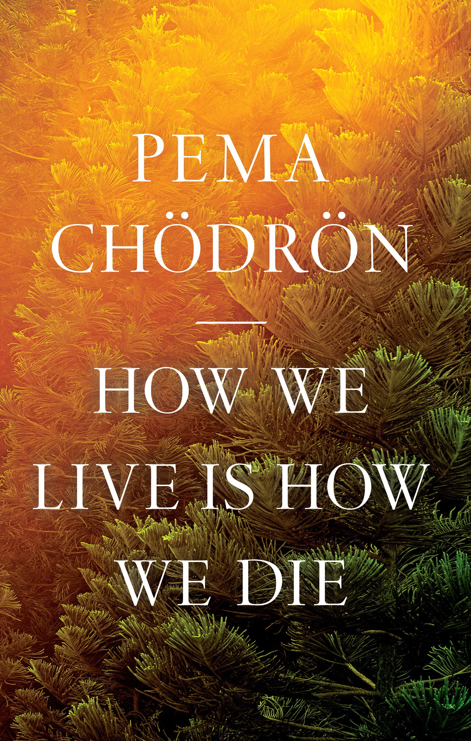 How We Live Is How We Die | Chodron, Pema (Auteur)