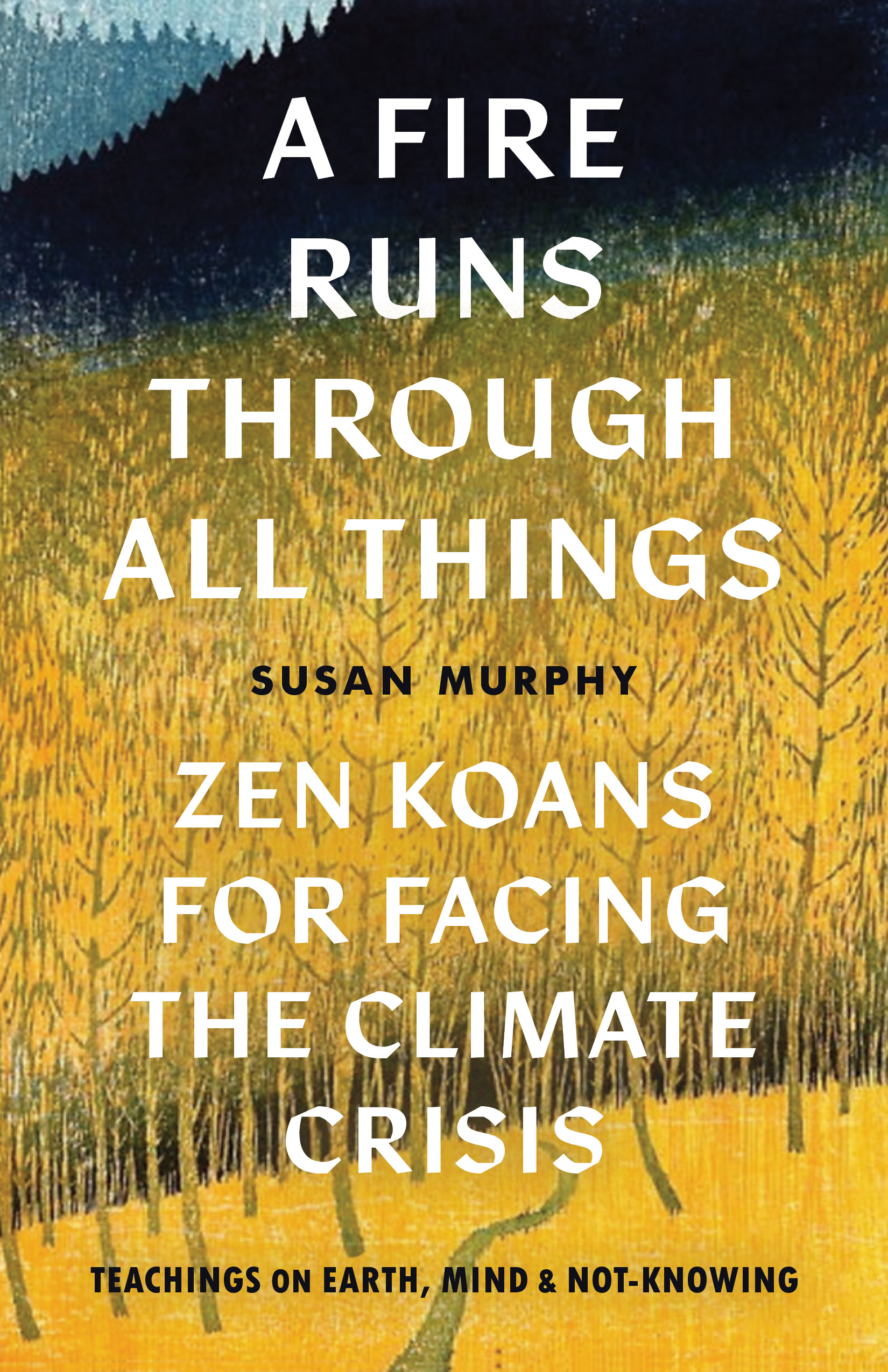 A Fire Runs through All Things : Zen Koans for Facing the Climate Crisis | Murphy, Susan (Auteur)