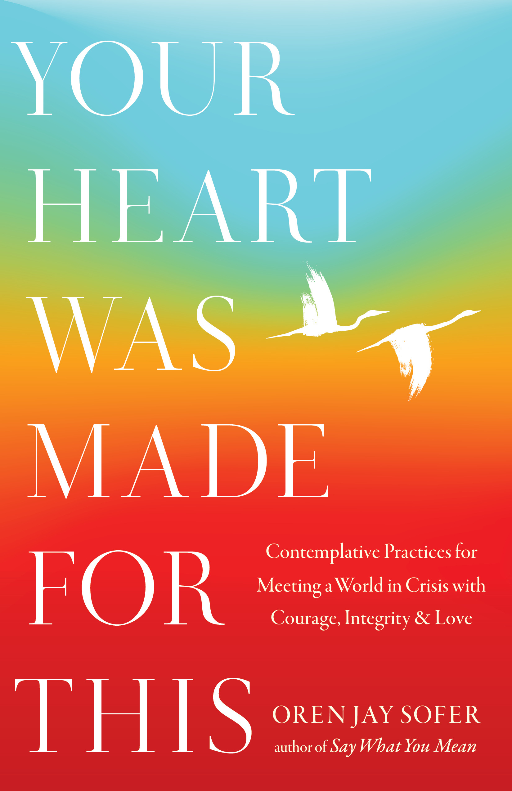 Your Heart Was Made for This : Contemplative Practices for Meeting a World in Crisis with Courage, Integrity, and Love | Sofer, Oren Jay (Auteur)