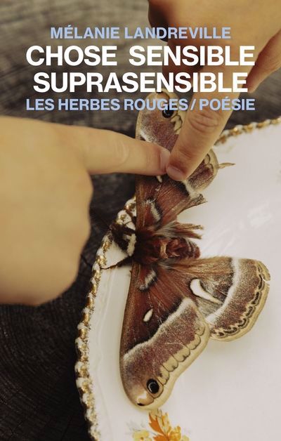 Chose sensible suprasensible | Landreville, Mélanie (Auteur)