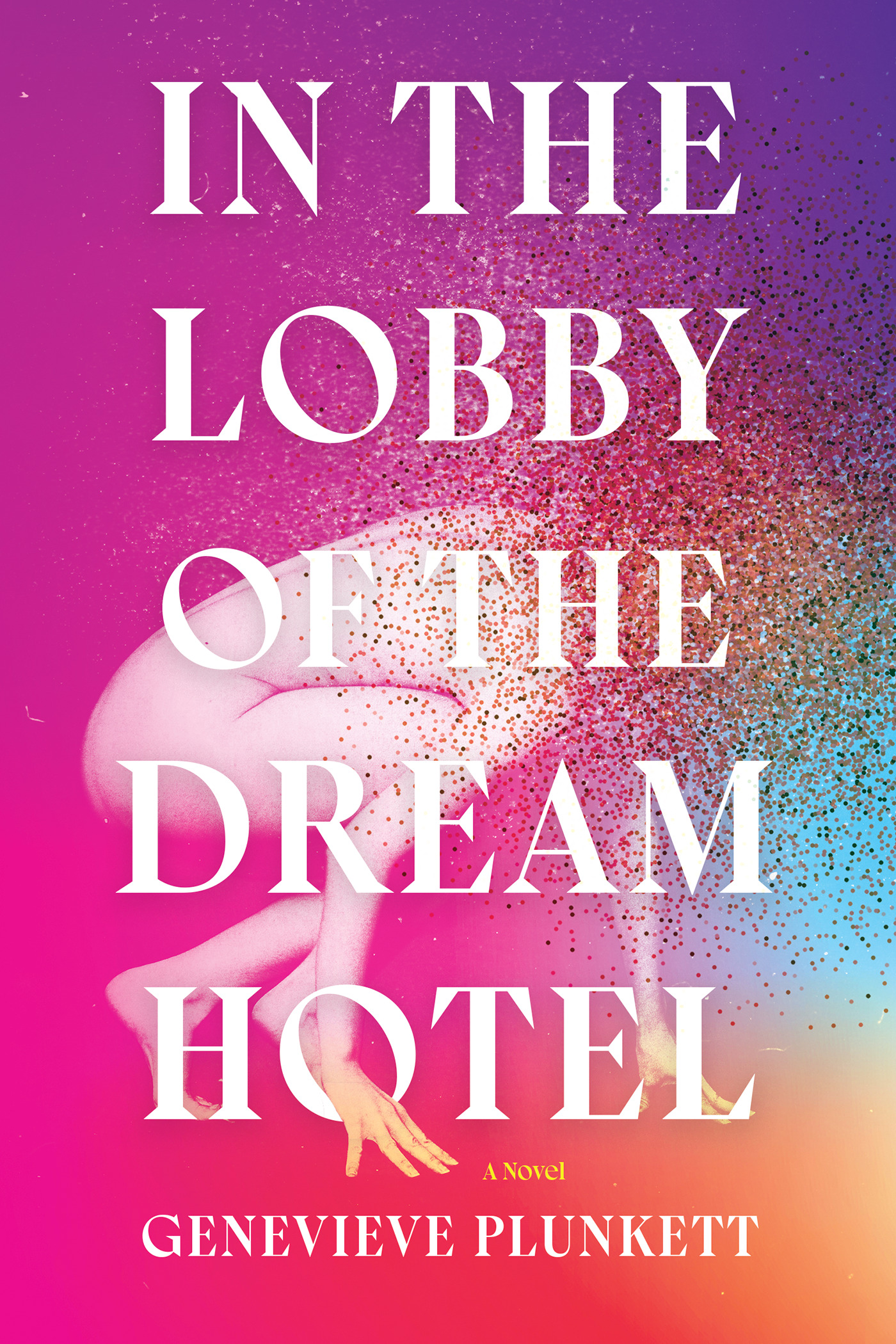 In the Lobby of the Dream Hotel : A Novel | Plunkett, Genevieve (Auteur)