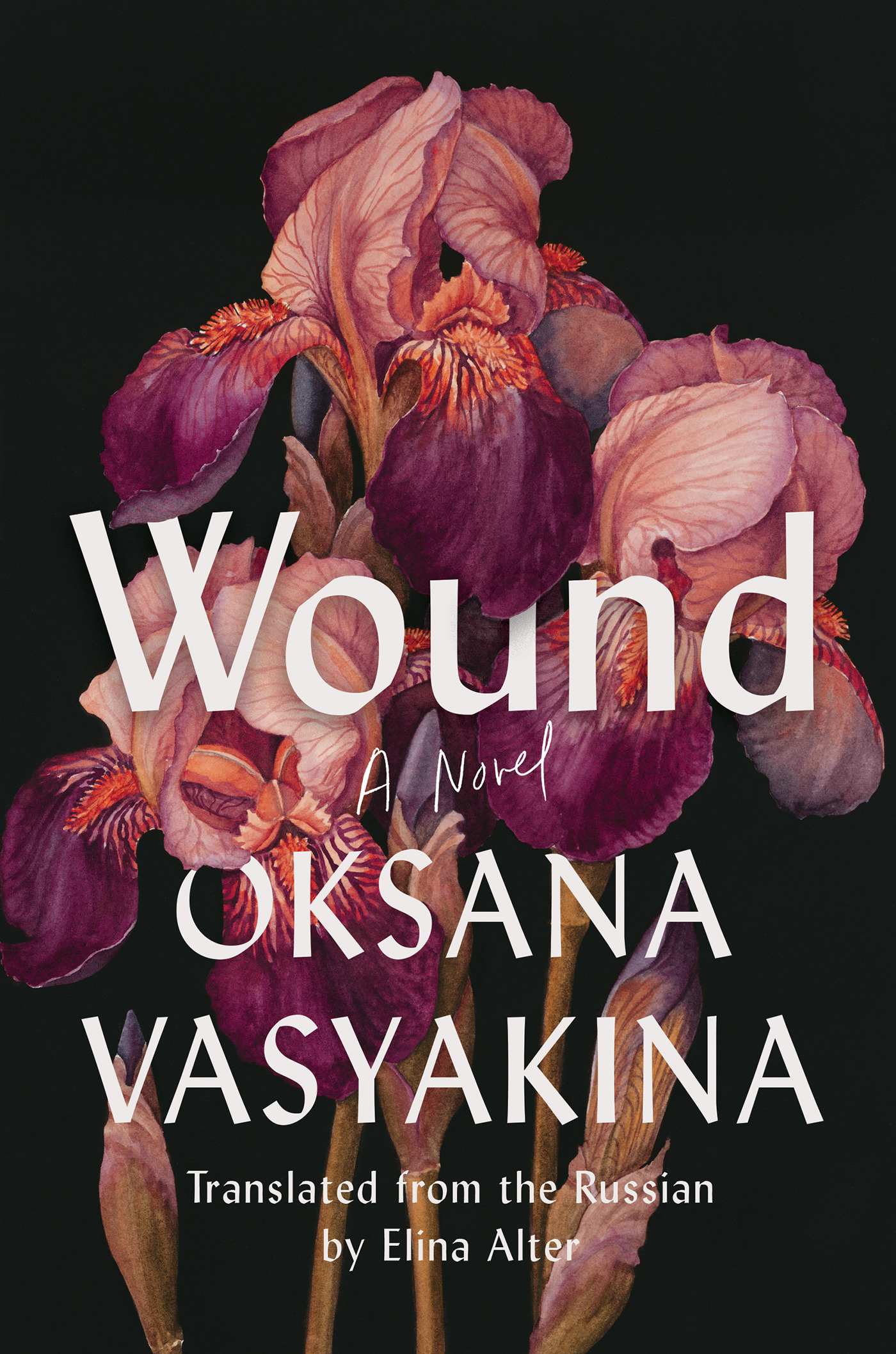 Wound : A Novel | Vasyakina, Oksana (Auteur)