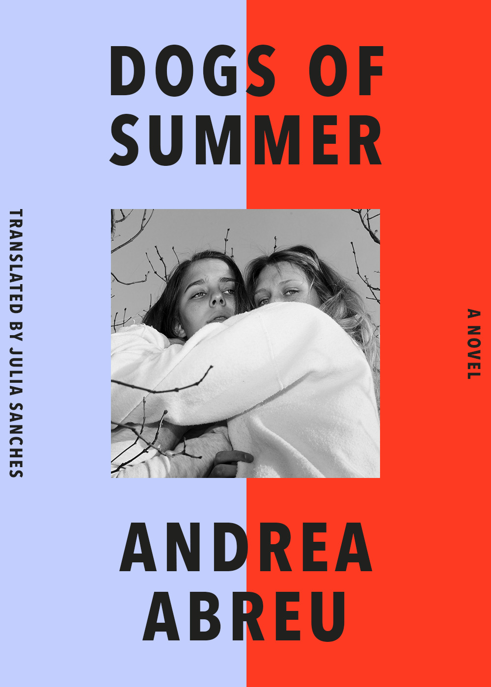 Dogs of Summer : A Novel | Abreu, Andrea (Auteur)