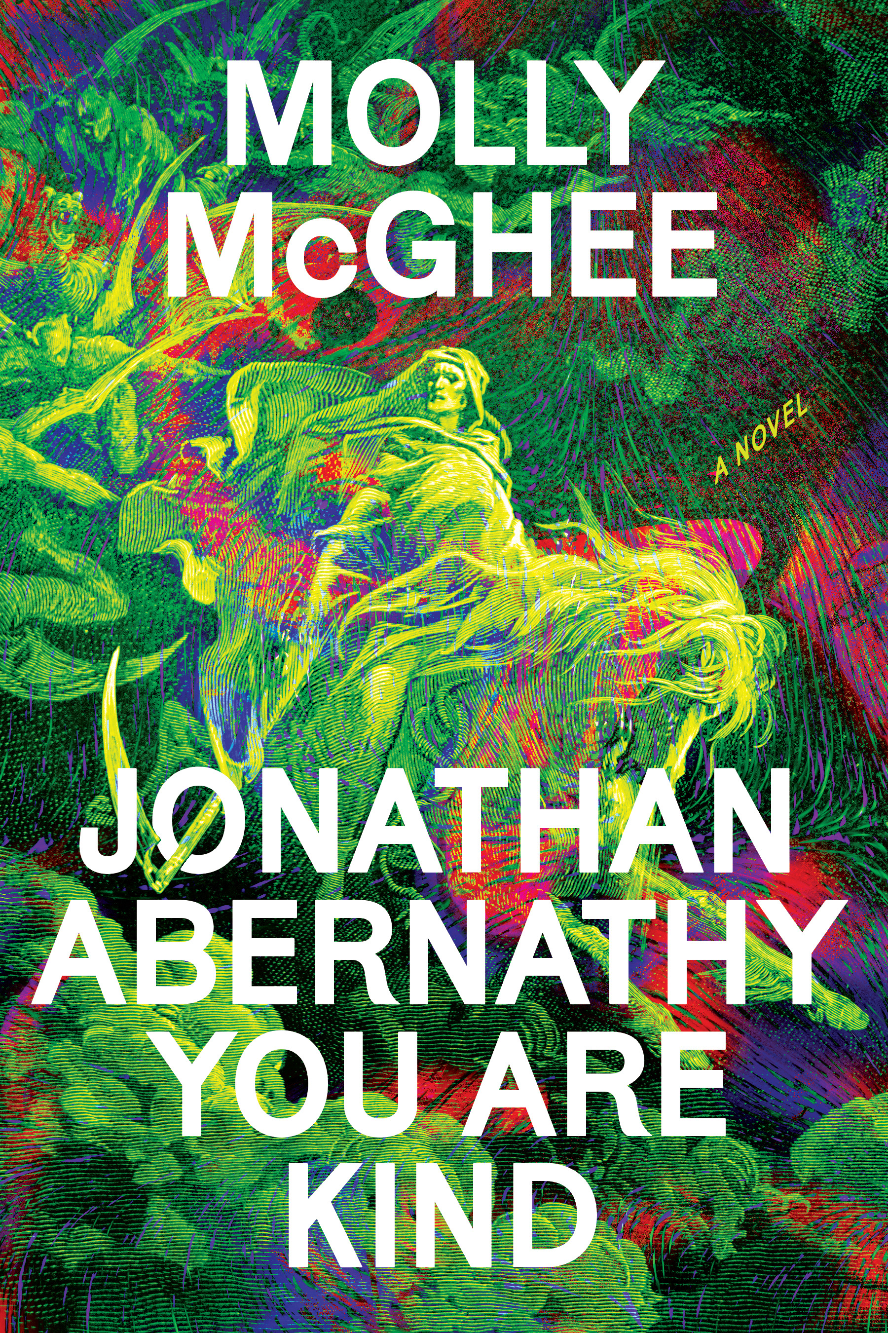 Jonathan Abernathy You Are Kind : A Novel | McGhee, Molly (Auteur)