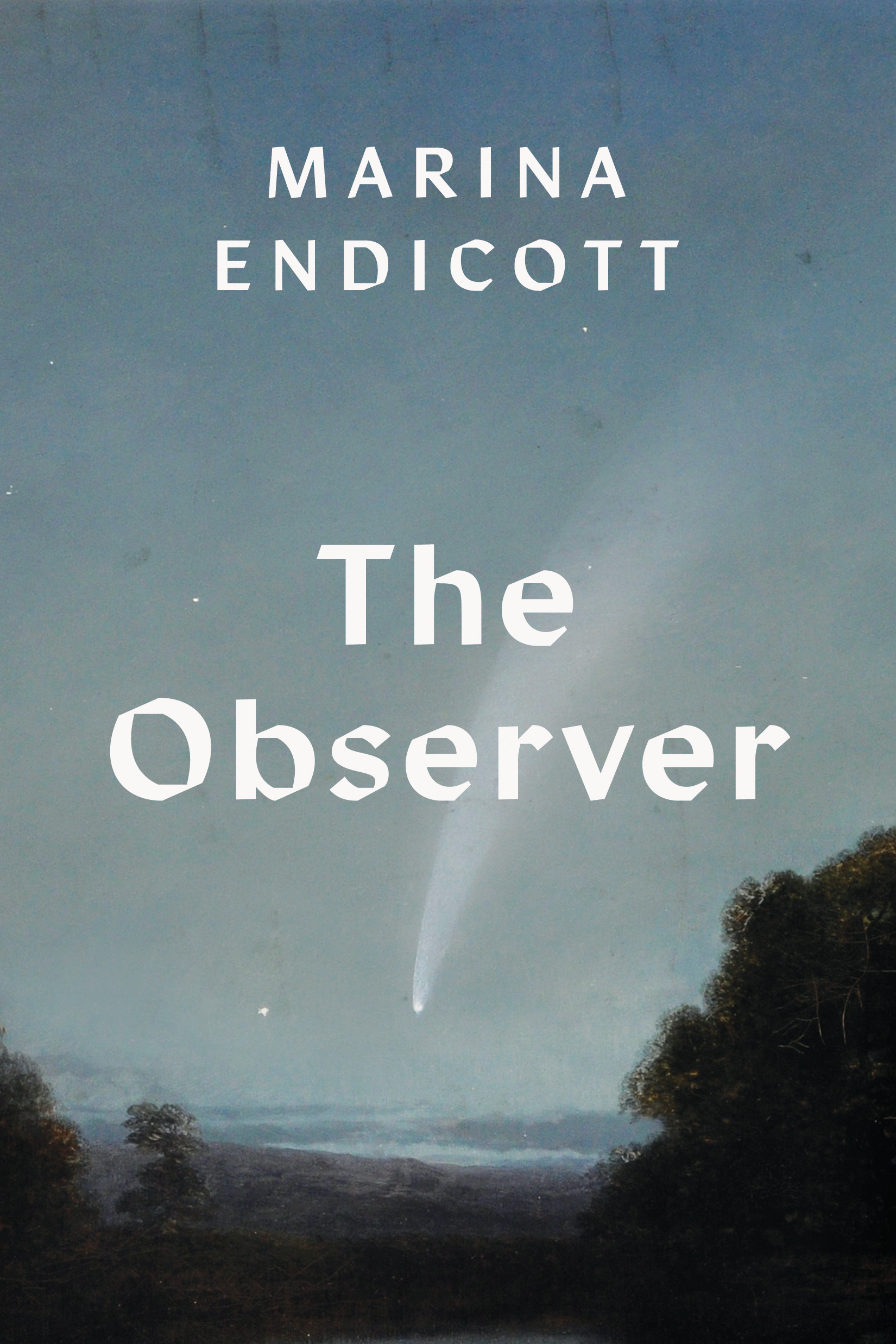 The Observer : A Novel | Endicott, Marina (Auteur)