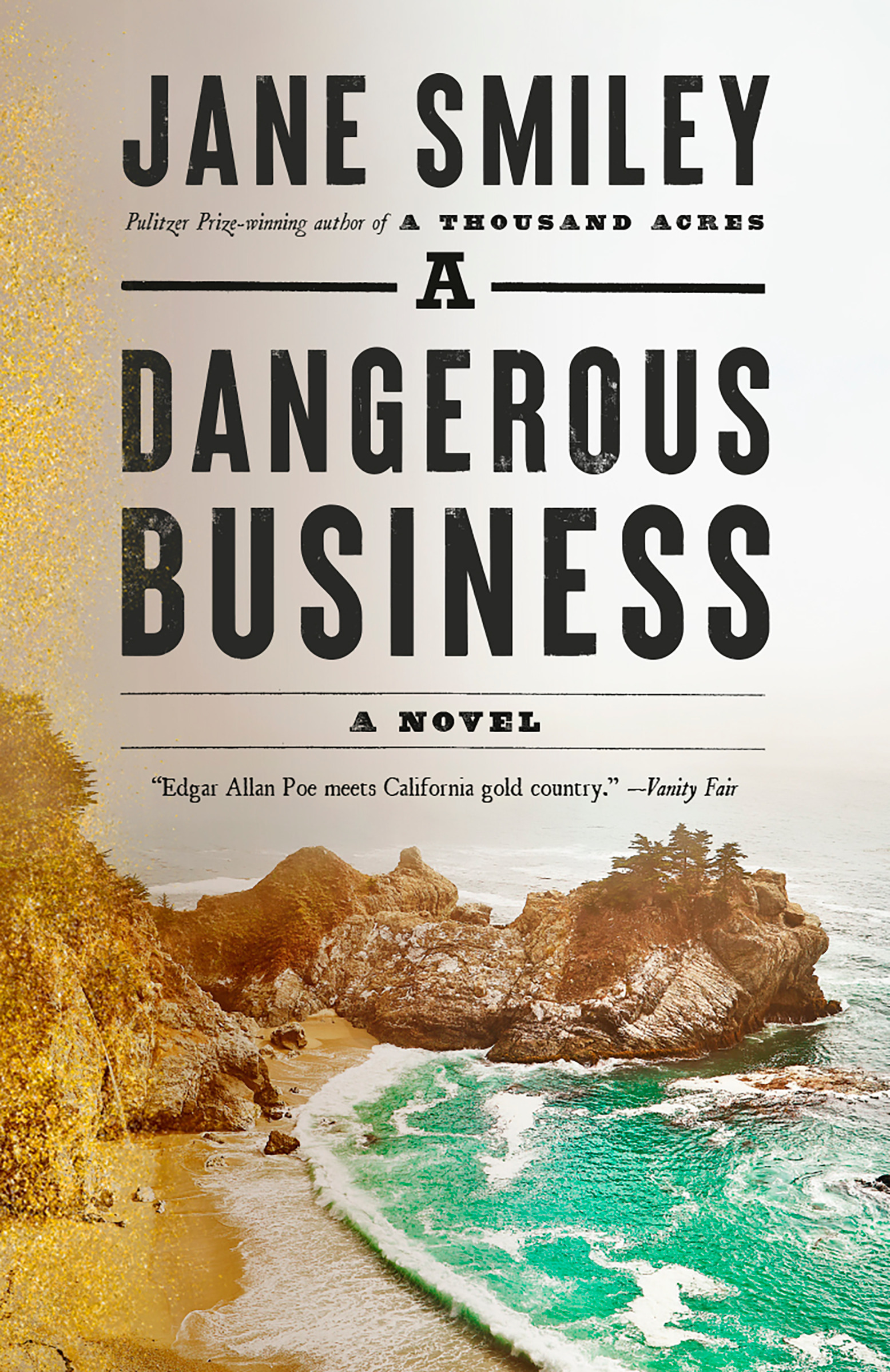 A Dangerous Business : A novel | Smiley, Jane (Auteur)