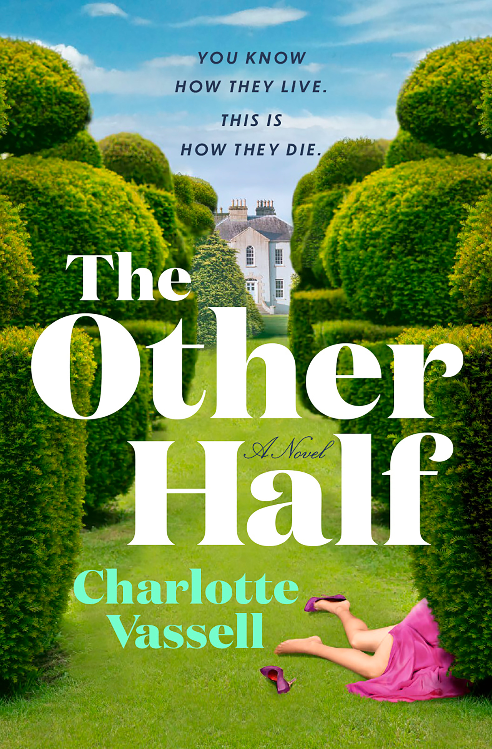 The Other Half | Vassell, Charlotte (Auteur)