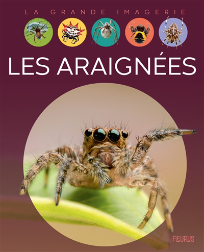 La grande imagerie - Les araignées | Franco, Cathy (Auteur)