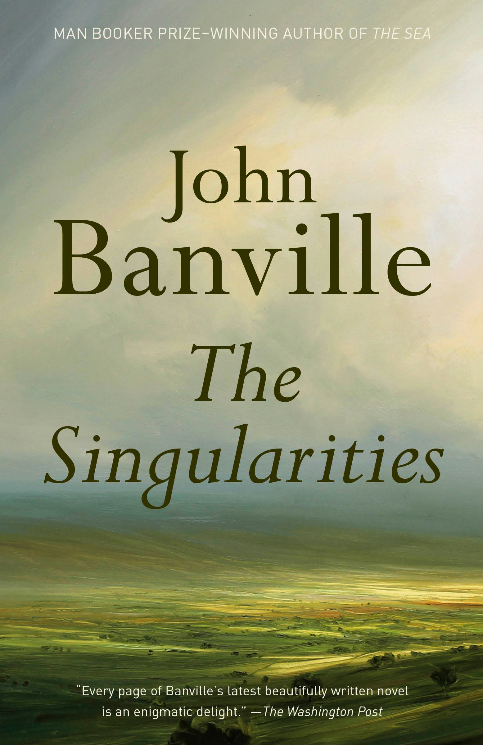 The Singularities  | Banville, John (Auteur)