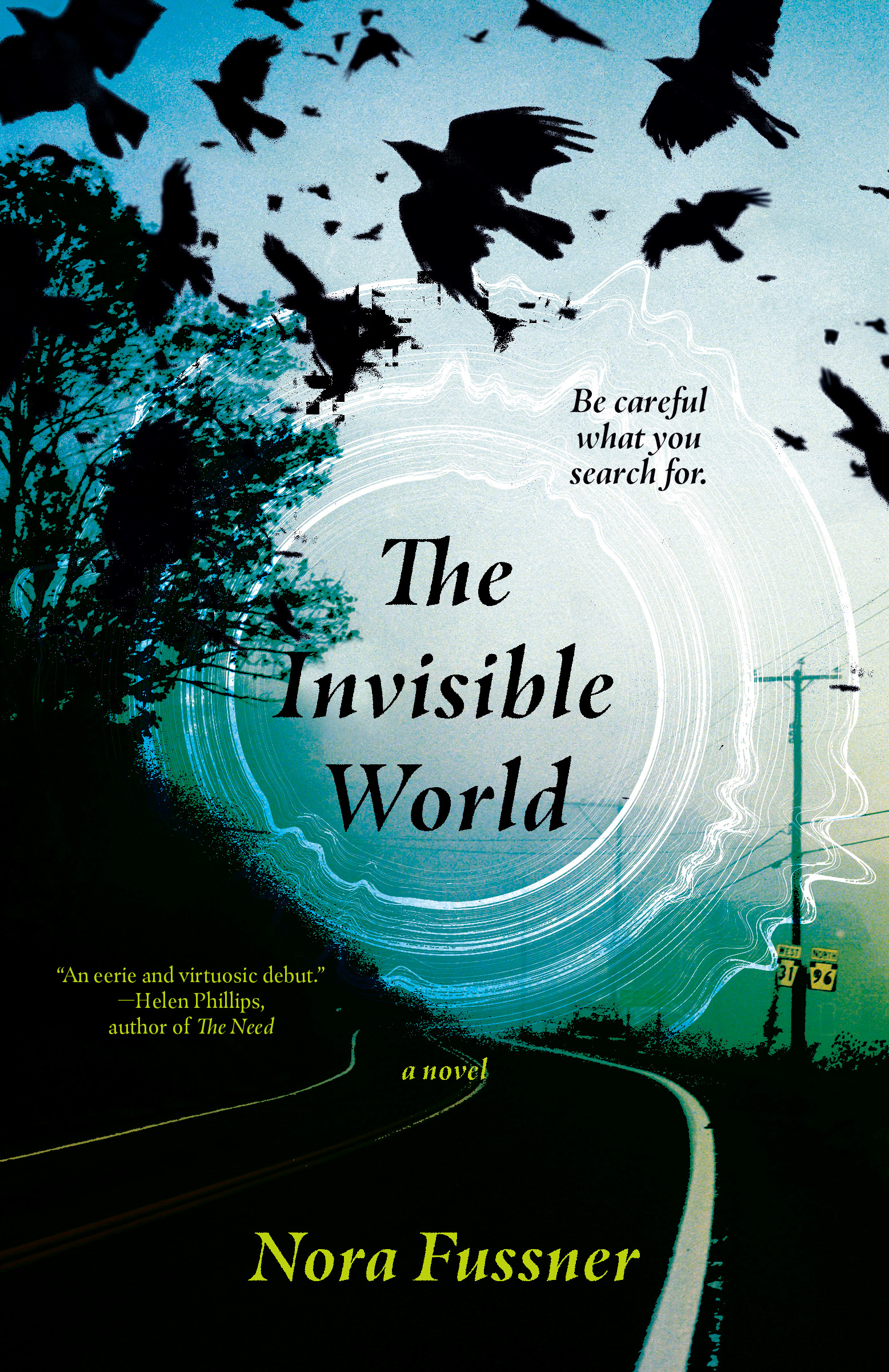 The Invisible World  | Fussner, Nora (Auteur)