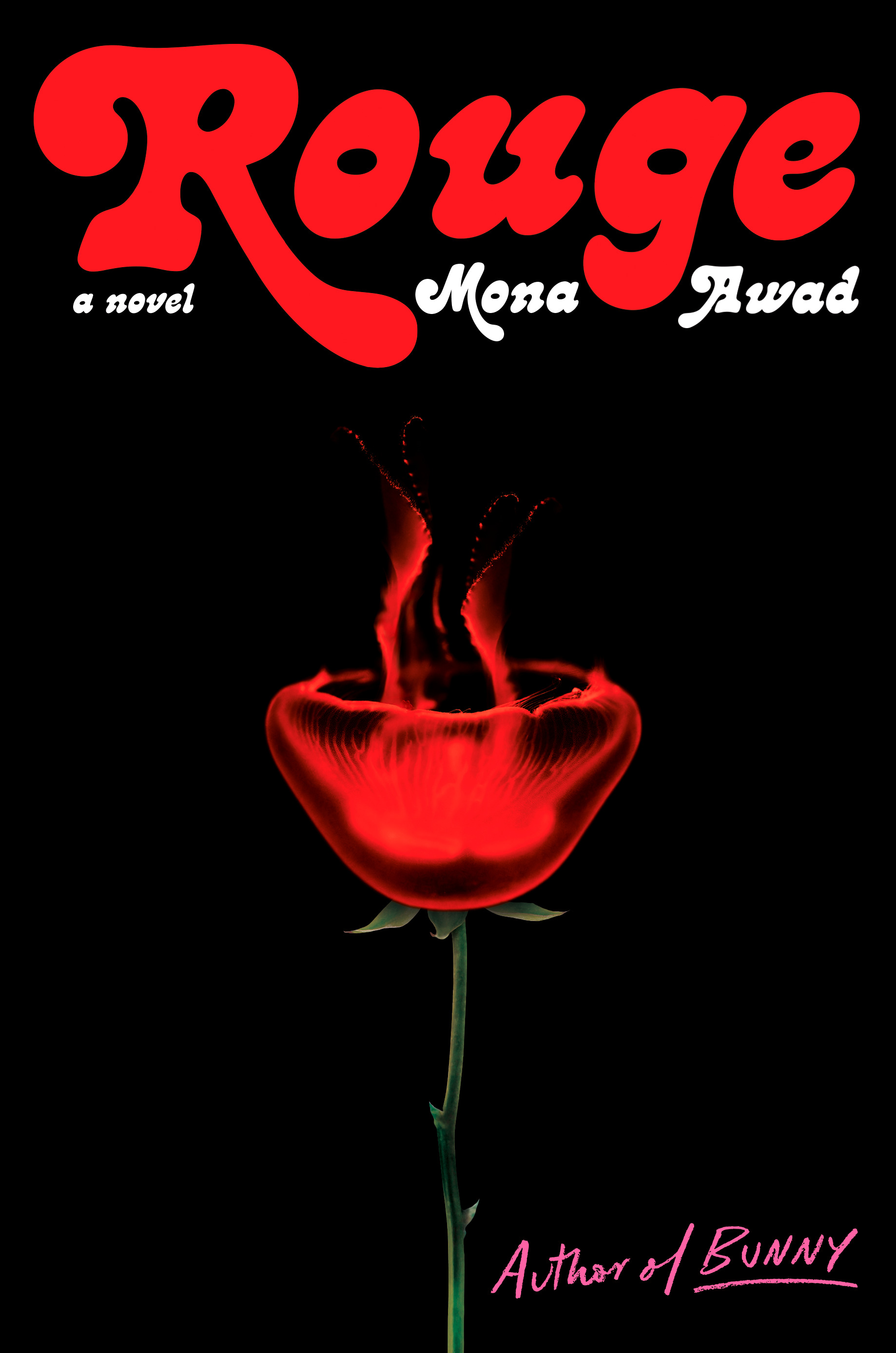Rouge | Awad, Mona (Auteur)