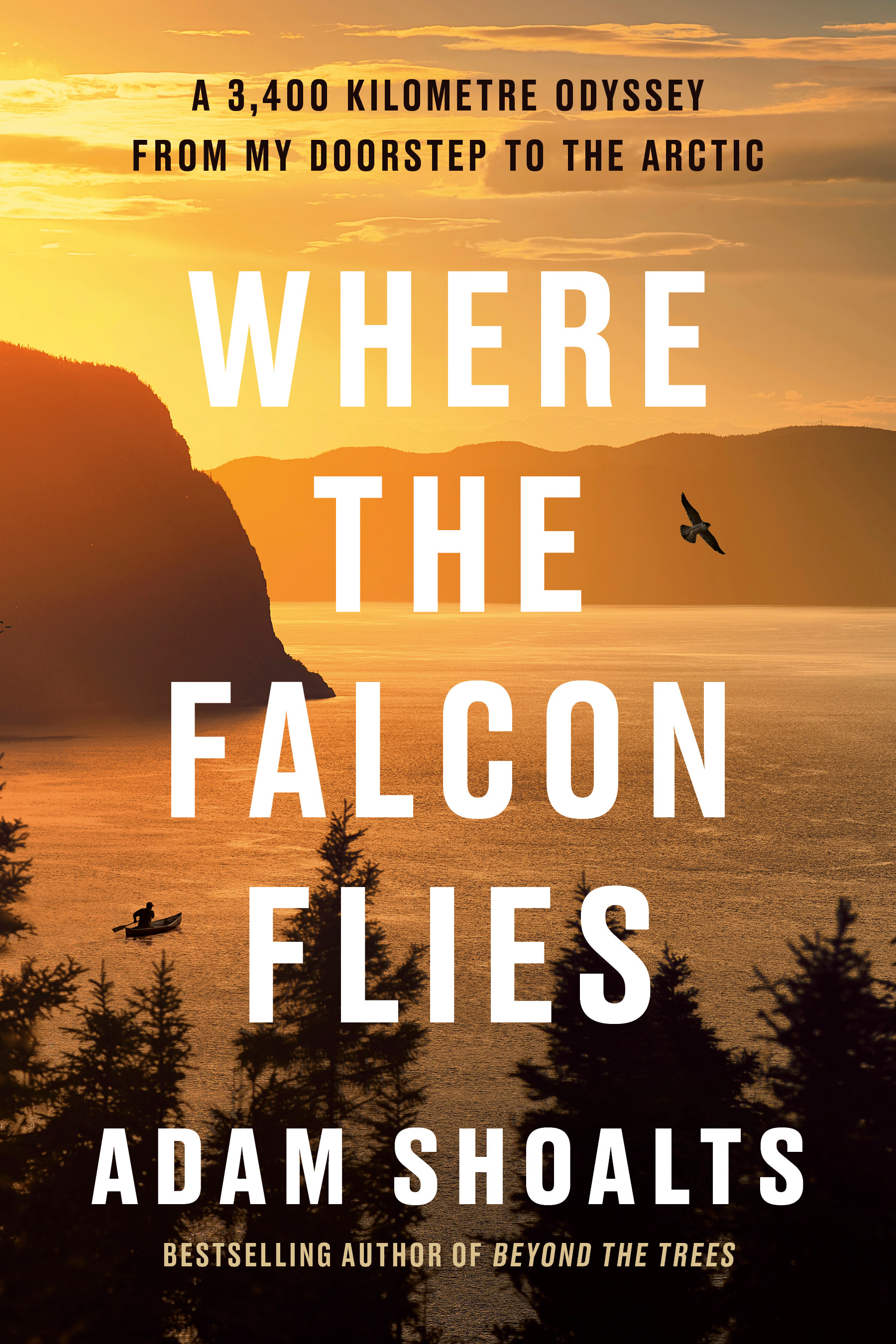 Where the Falcon Flies : A 3,400 Kilometre Odyssey From My Doorstep to the Arctic | Shoalts, Adam (Auteur)