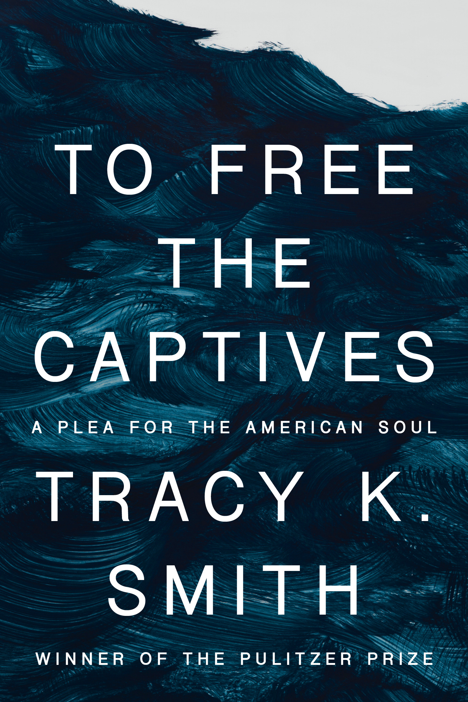 To Free the Captives : A Plea for the American Soul | Smith, Tracy K. (Auteur)