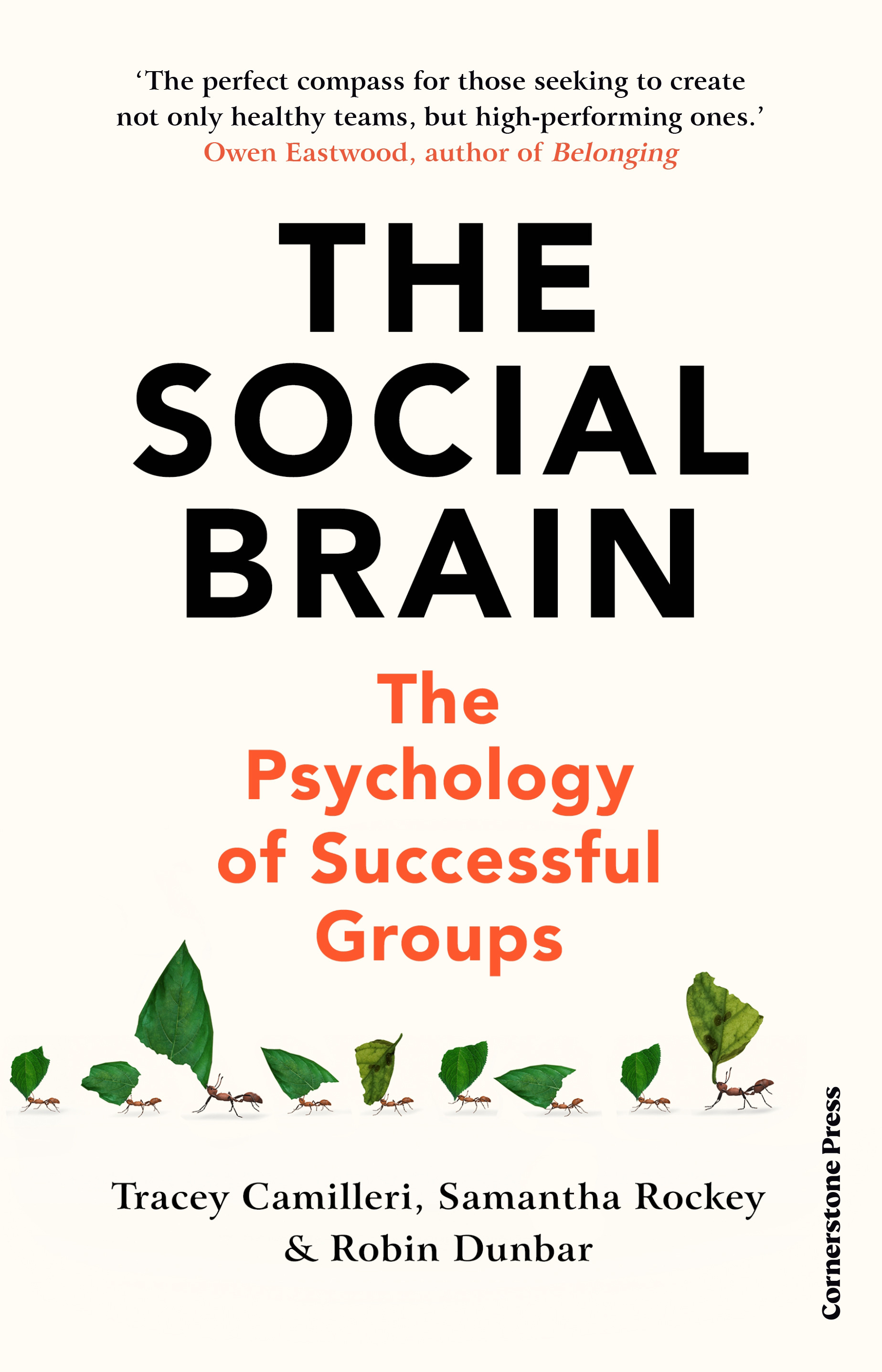 The Social Brain : The Psychology of Successful Groups | Camilleri, Tracey (Auteur) | Rockey, Samantha (Auteur) | Dunbar, Robin (Auteur)