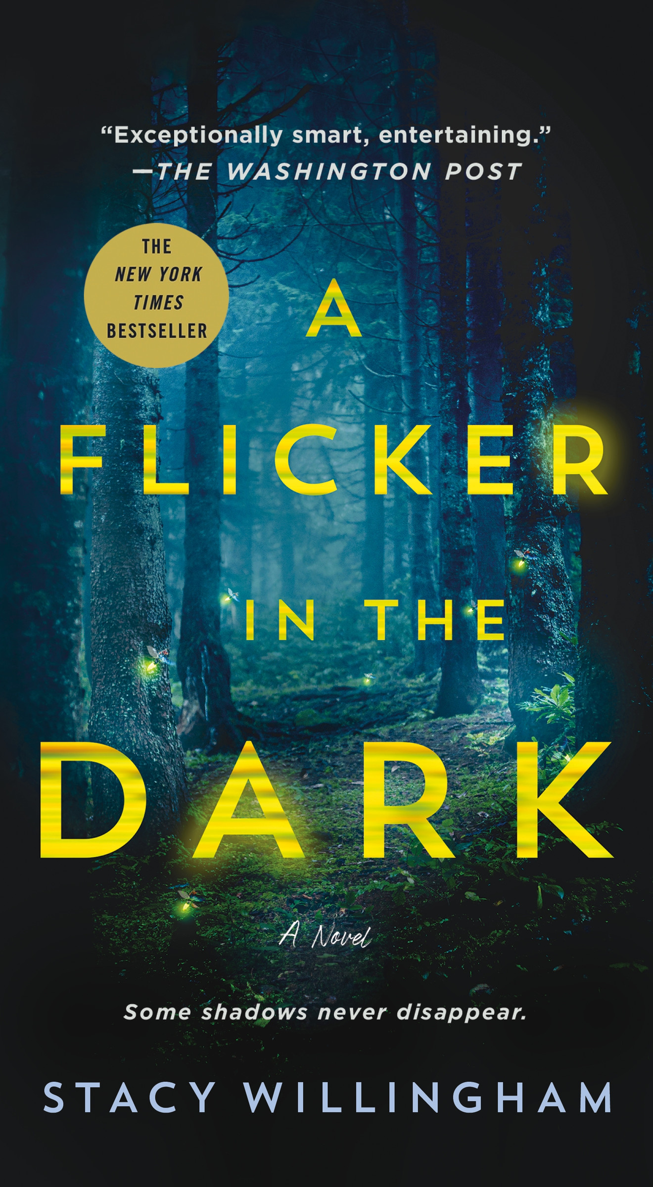A Flicker in the Dark : A Novel | Willingham, Stacy (Auteur)