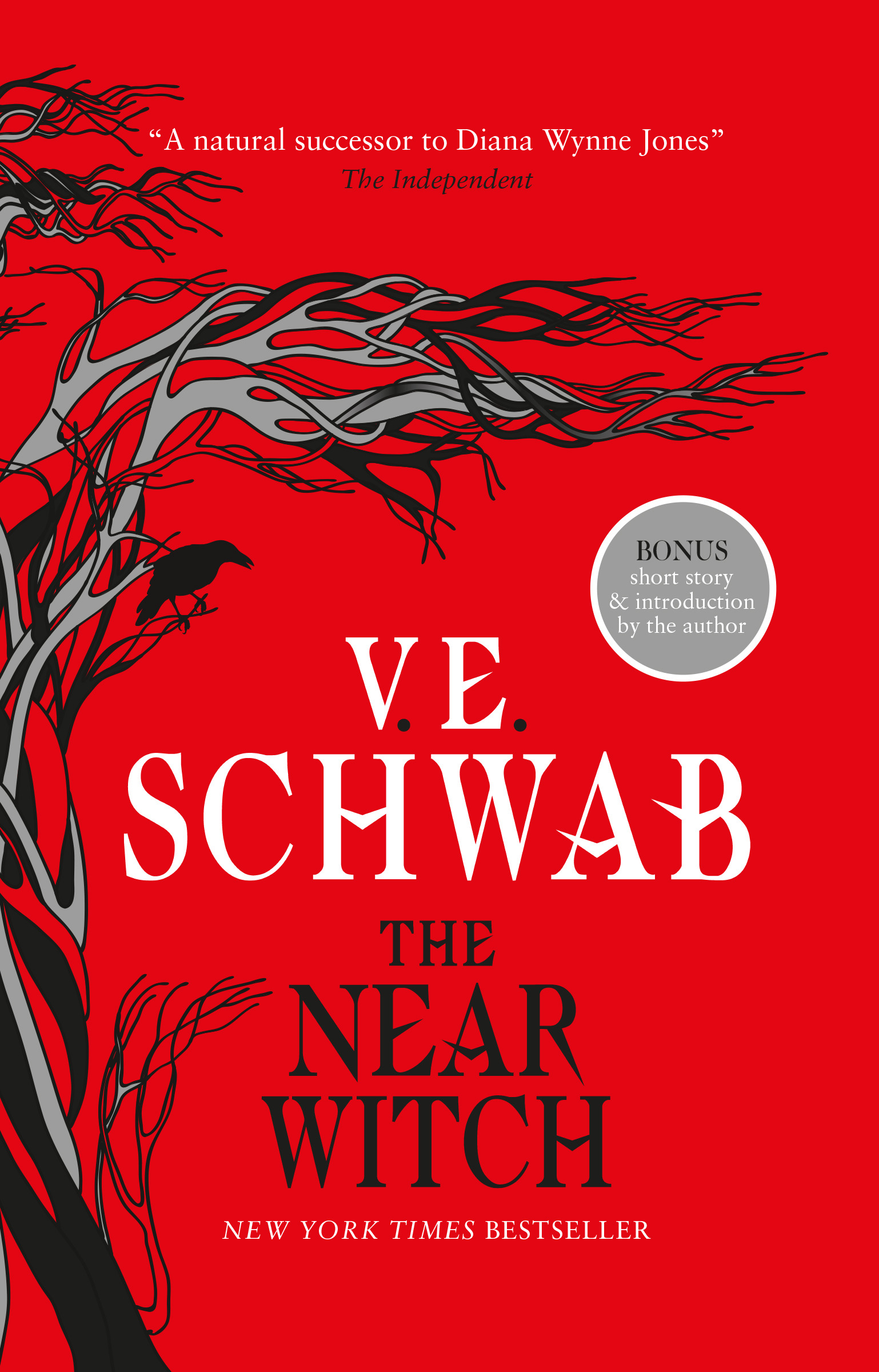 The Near Witch | Schwab, V. E. (Auteur)