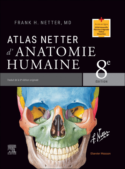 Atlas d'anatomie humaine | Netter, Frank Henry
