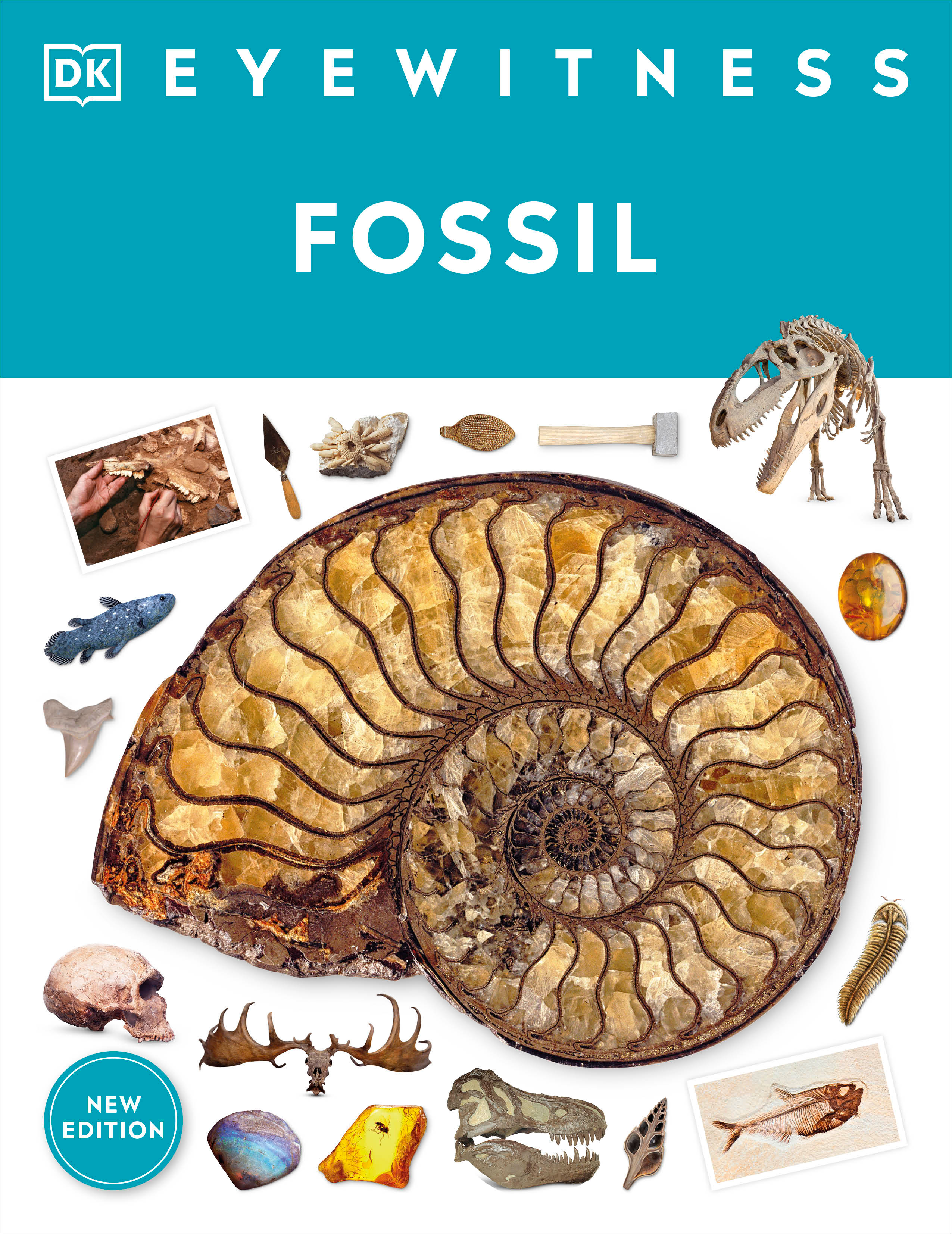 Eyewitness Fossil | 