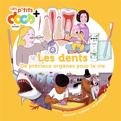 Les p'tits docs + - Les dents : de précieux organes pour la vie | Ledu, Stéphanie (Auteur) | Dorange, Sylvain (Illustrateur)