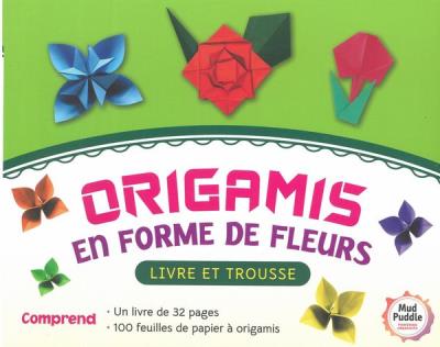 Origamis en forme de fleurs | 