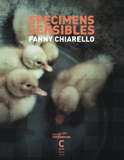 Spécimens sensibles | Chiarello, Fanny