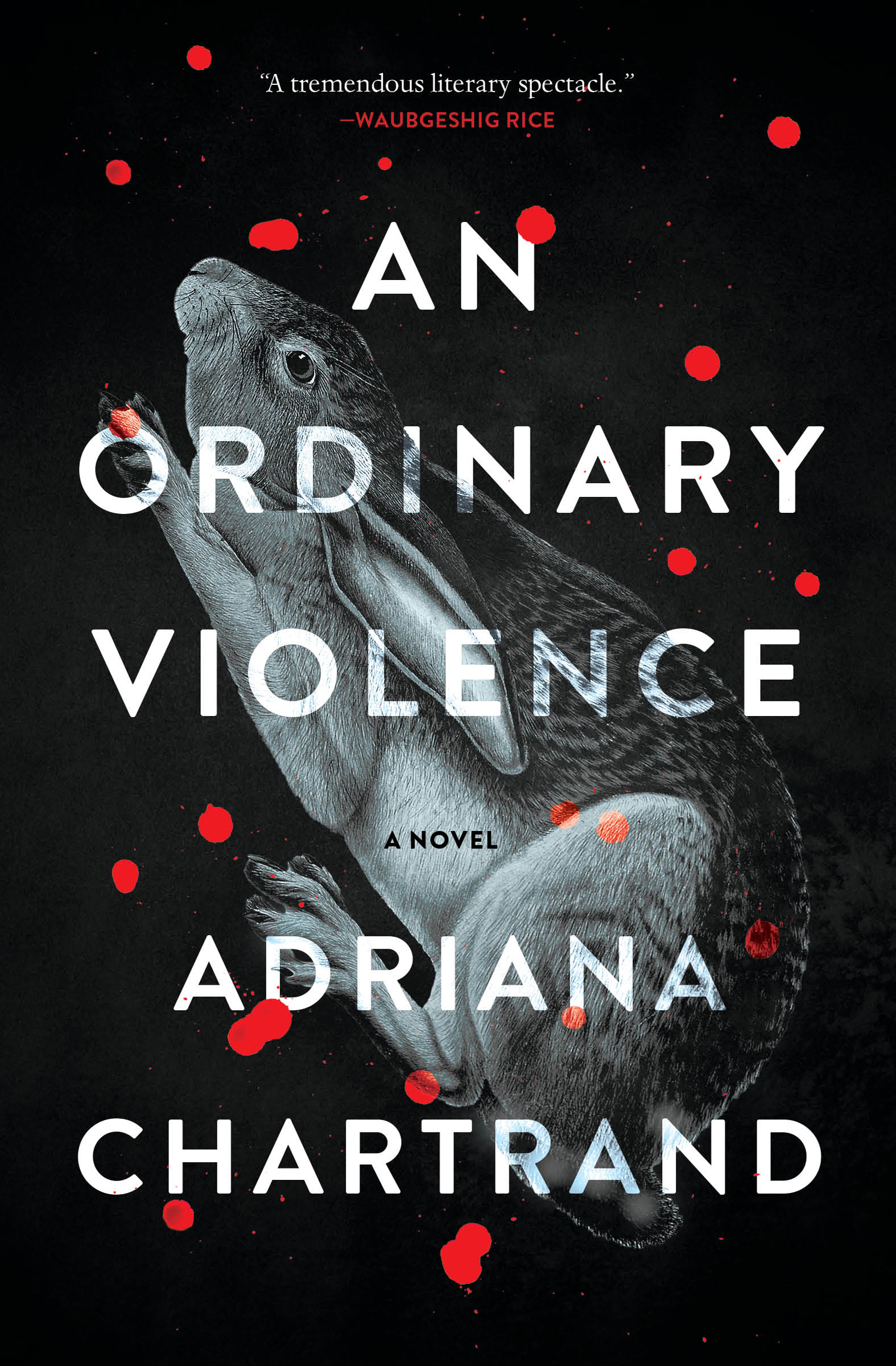 An Ordinary Violence : A Novel | Chartrand, Adriana (Auteur)