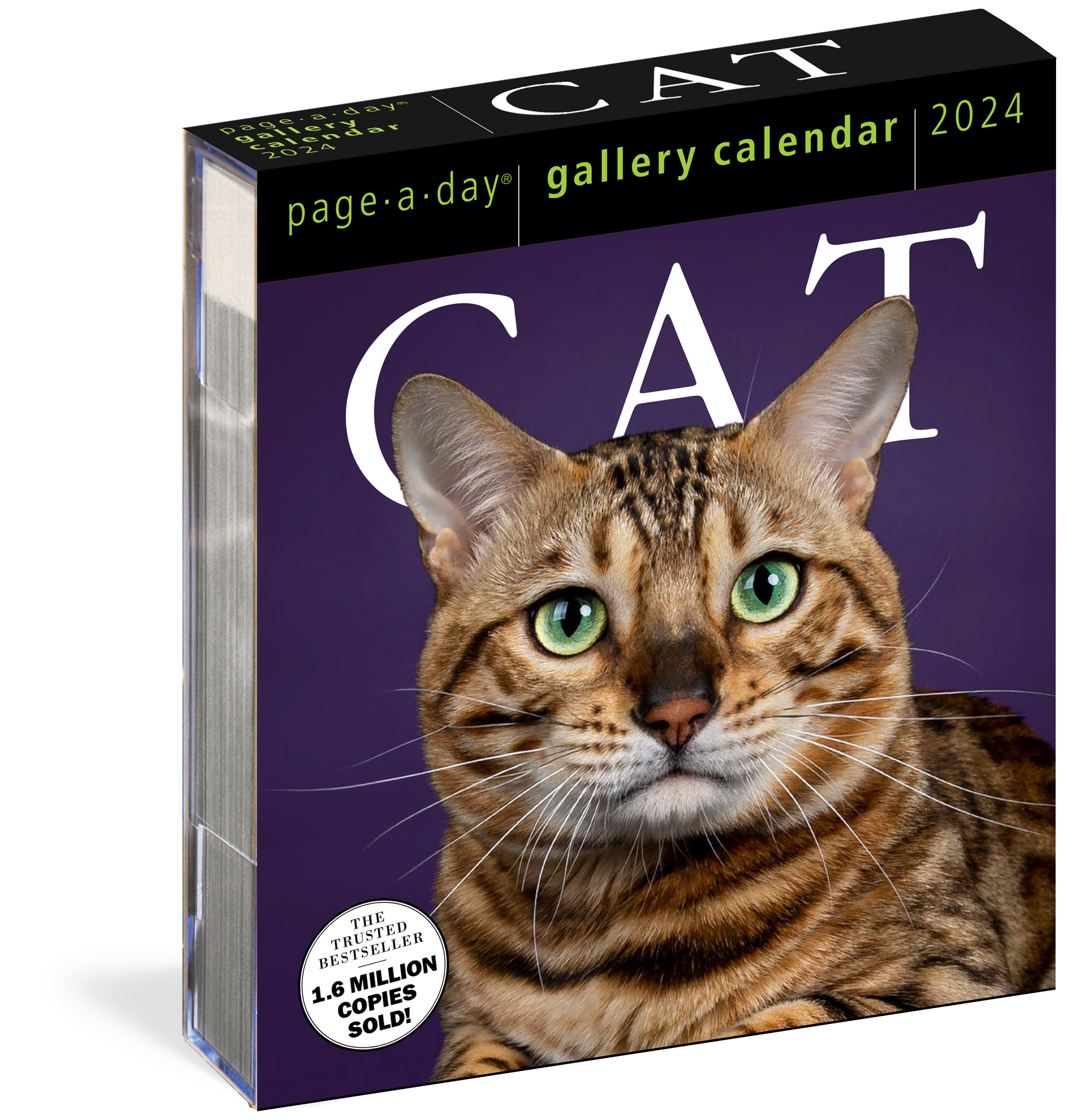 Cat Page-A-Day Gallery Calendar 2024 : A Delightful Gallery of Cats for Your Desktop | 