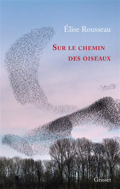 Sur le chemin des oiseaux | Rousseau, Elise (Auteur)