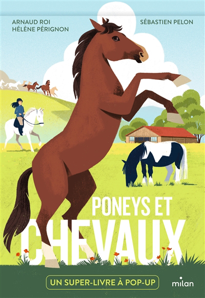 Pop-up docs - Poneys et chevaux | Roi, Arnaud (Auteur) | Pérignon, Hélène (Auteur) | Pelon, Sébastien (Illustrateur)