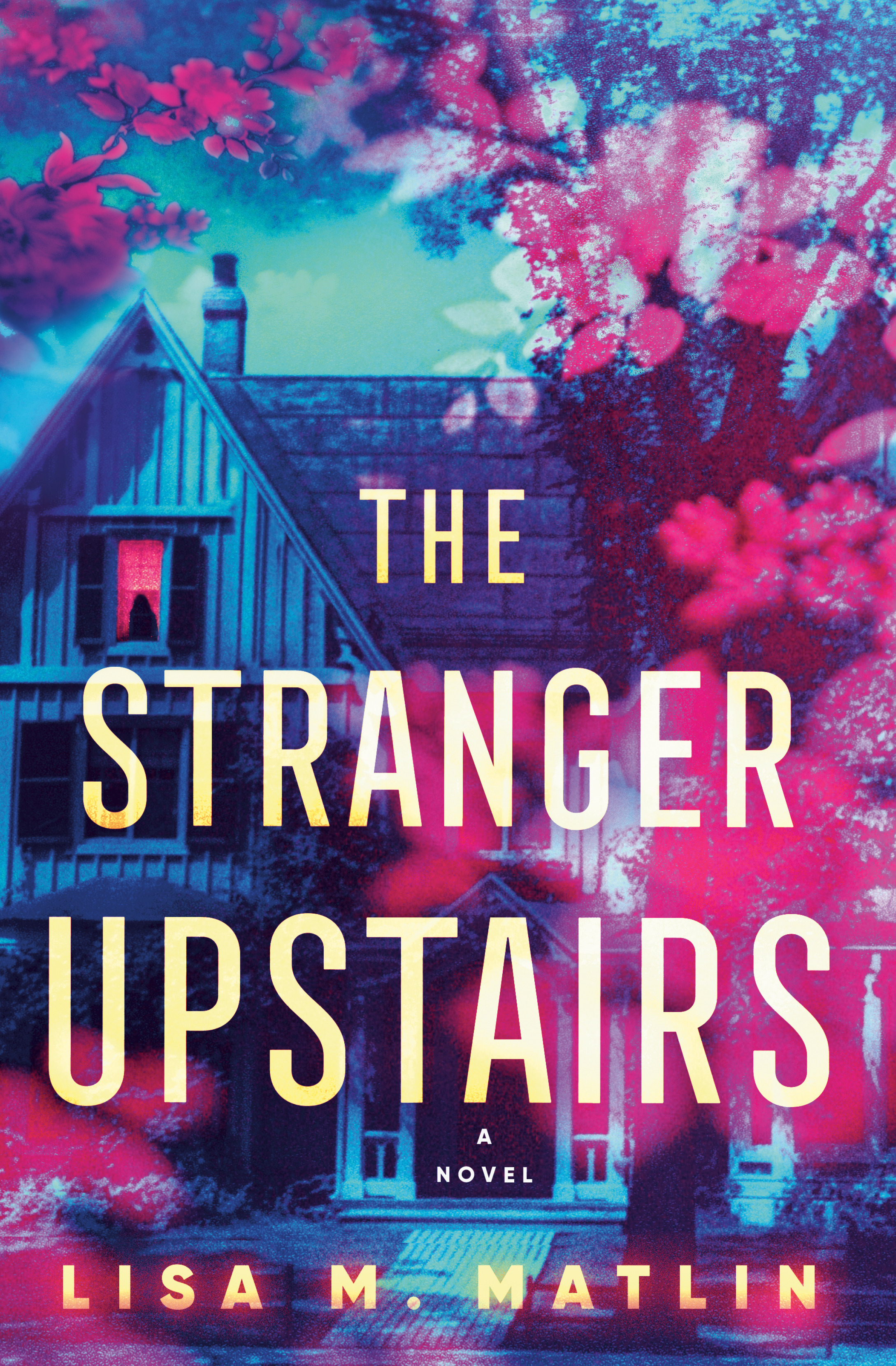 The Stranger Upstairs : A Novel | Matlin, Lisa M. (Auteur)