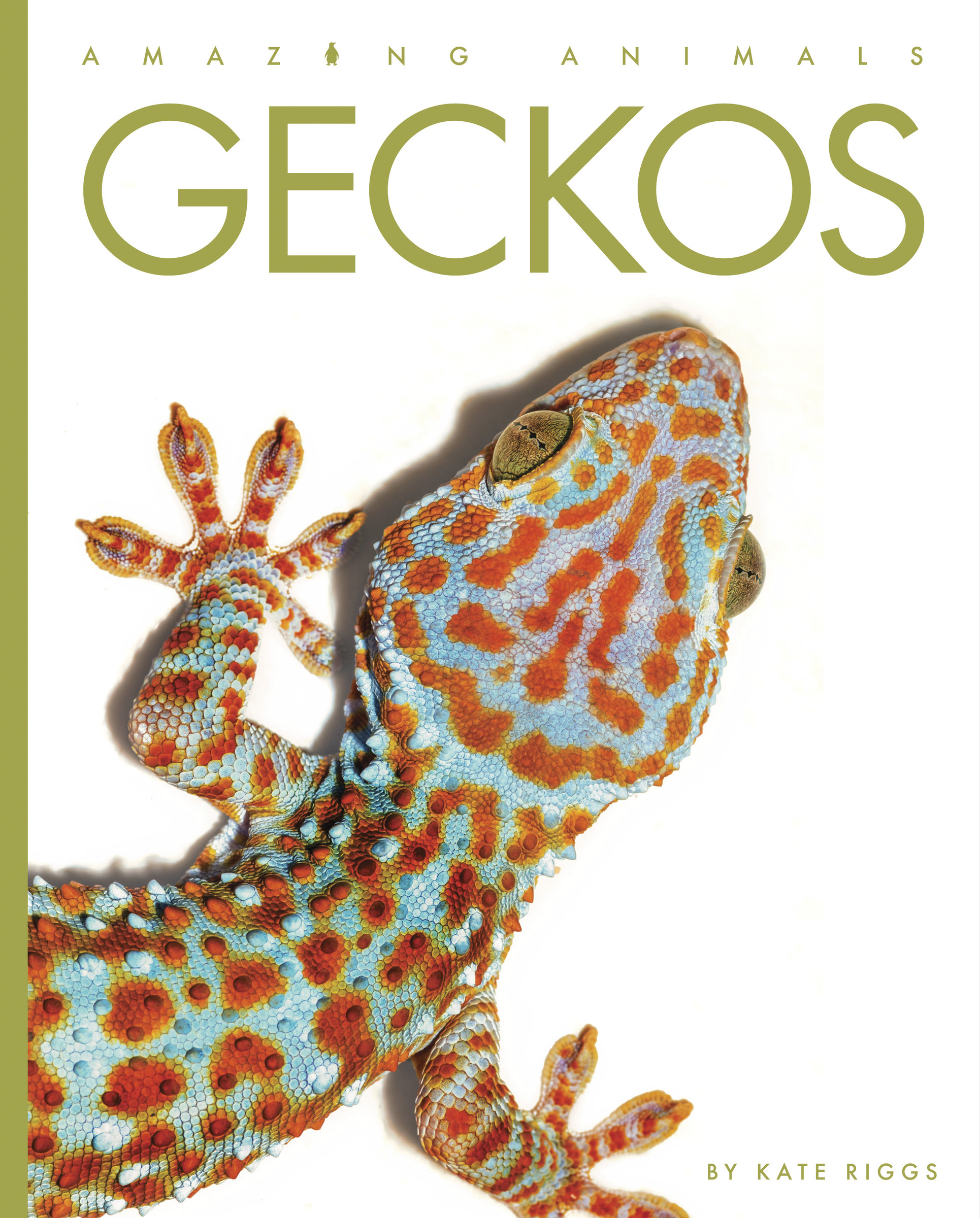 Geckos | Riggs, Kate (Auteur)