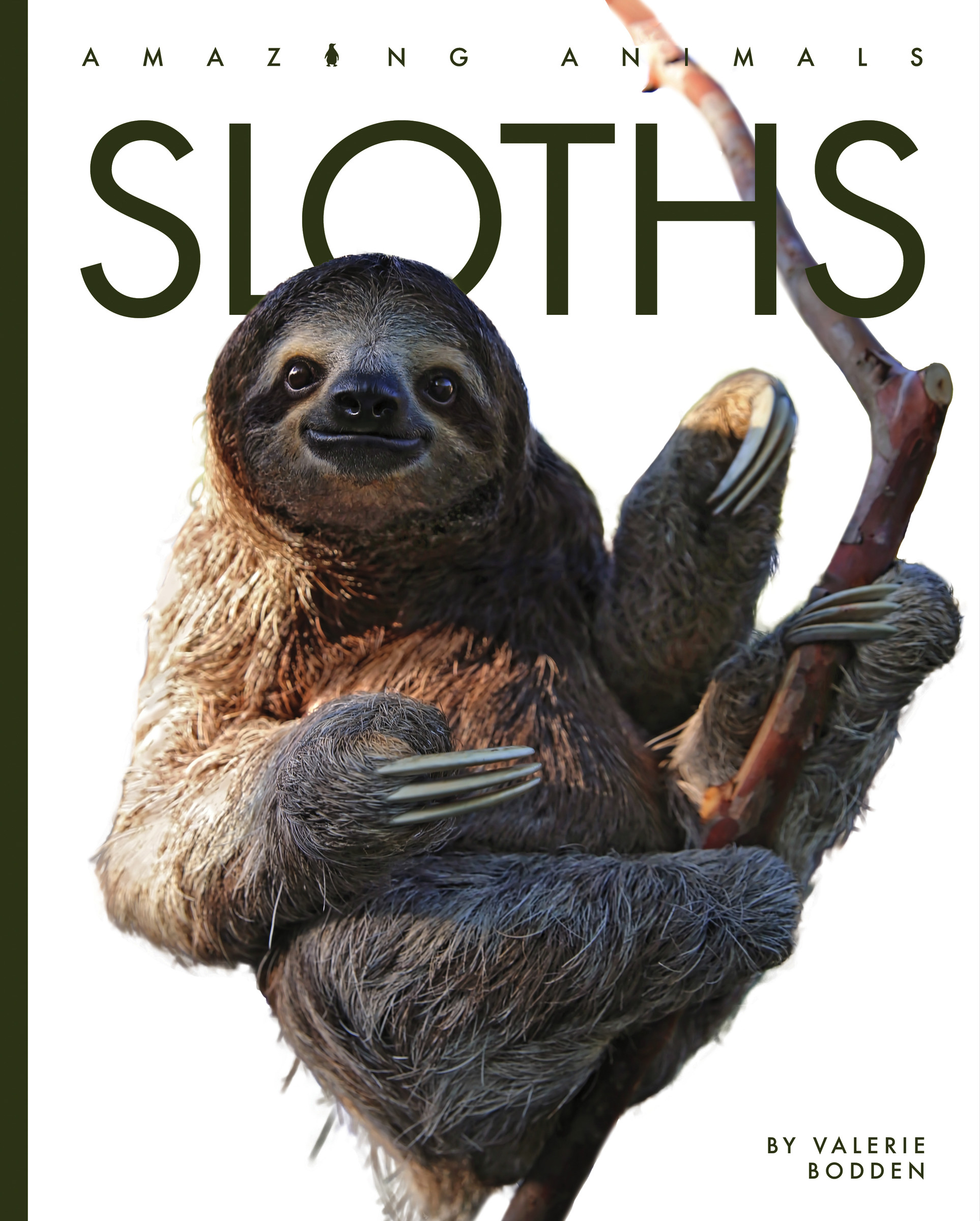 Sloths : Amazing Animals: Sloths | Bodden, Valerie (Auteur)