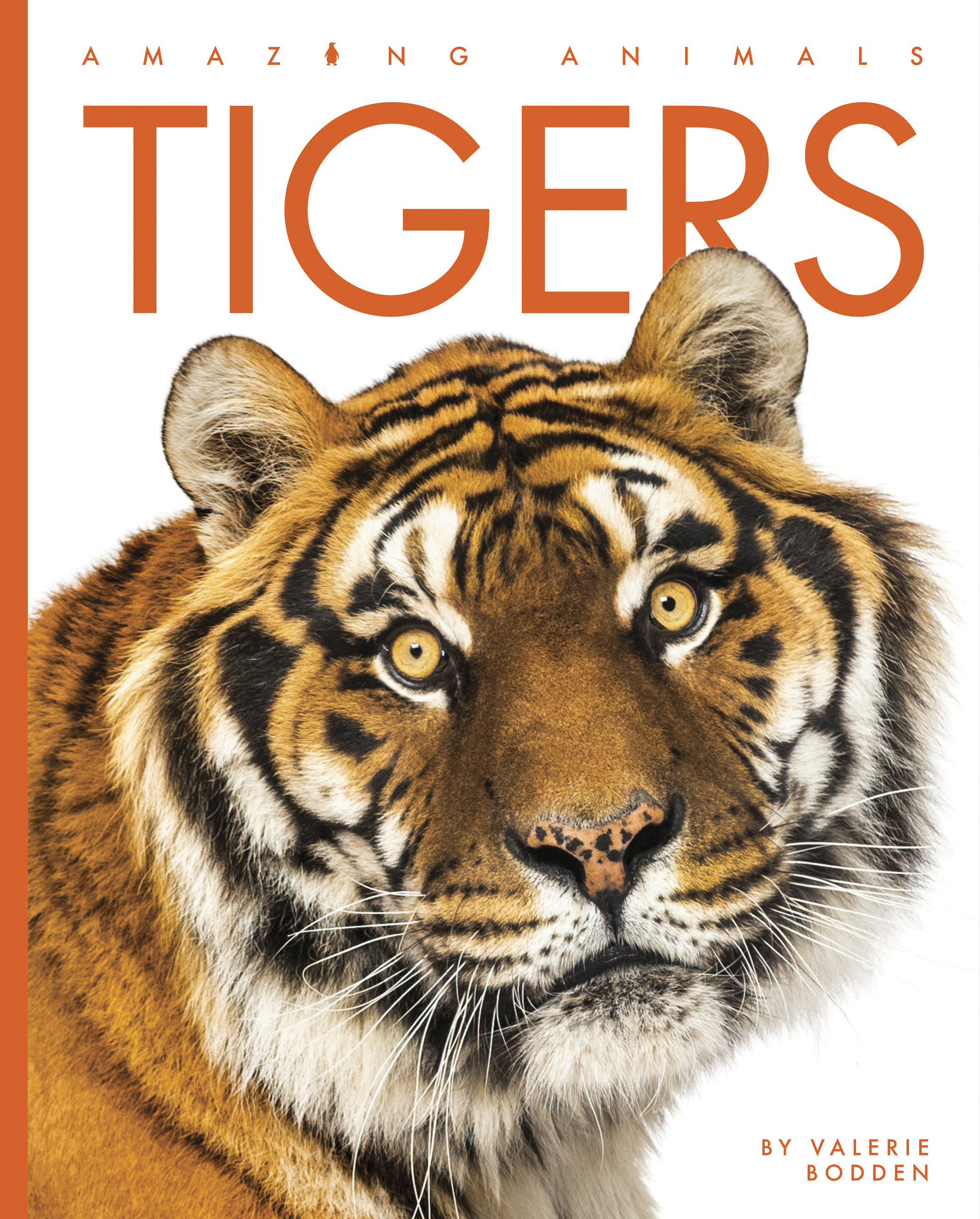 Tigers | Bodden, Valerie (Auteur)